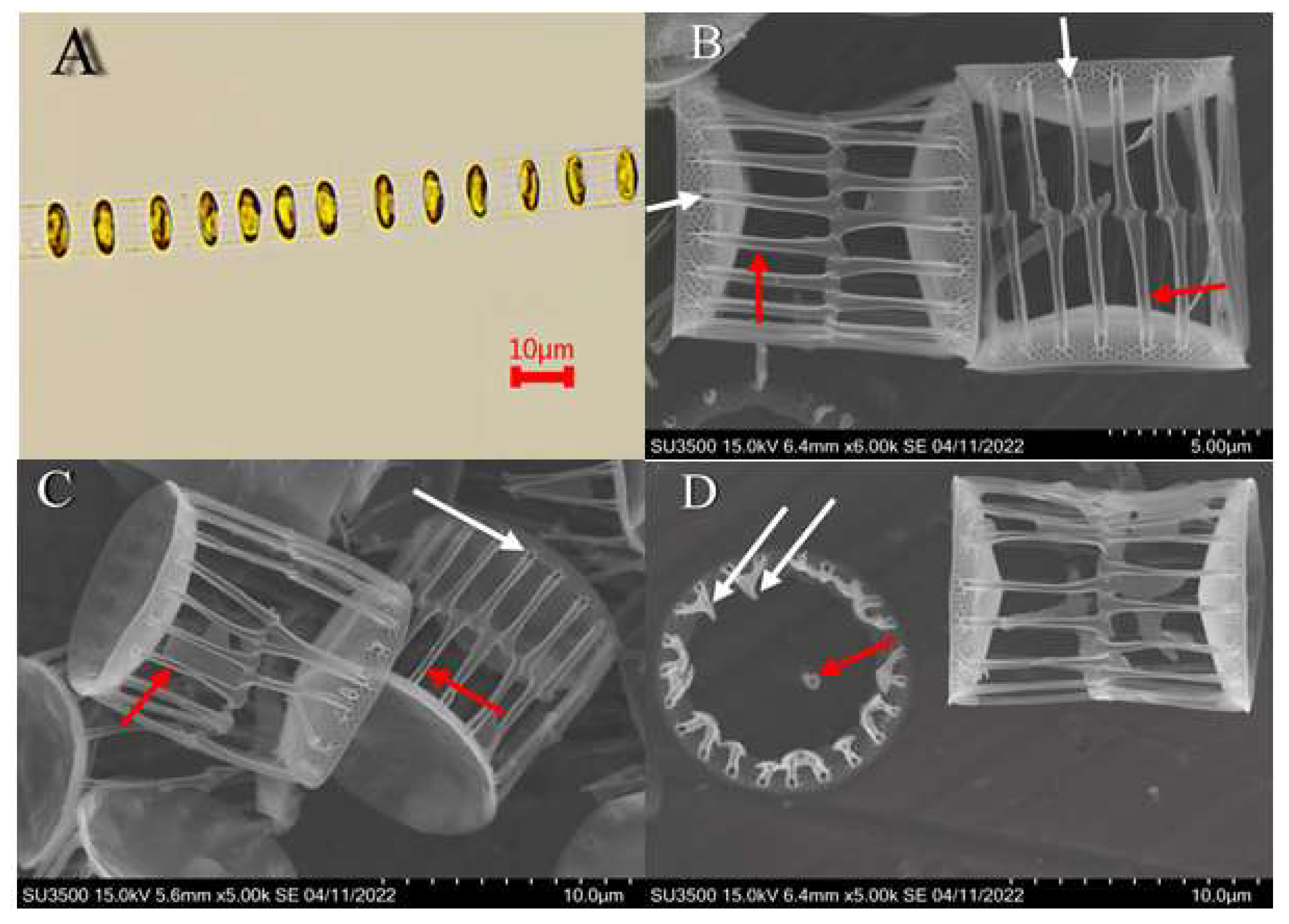 Jmse 11 00569 g004 Jmse 11 00569 g004