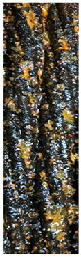 Jmse 11 00665 i009 Jmse 11 00665 i009