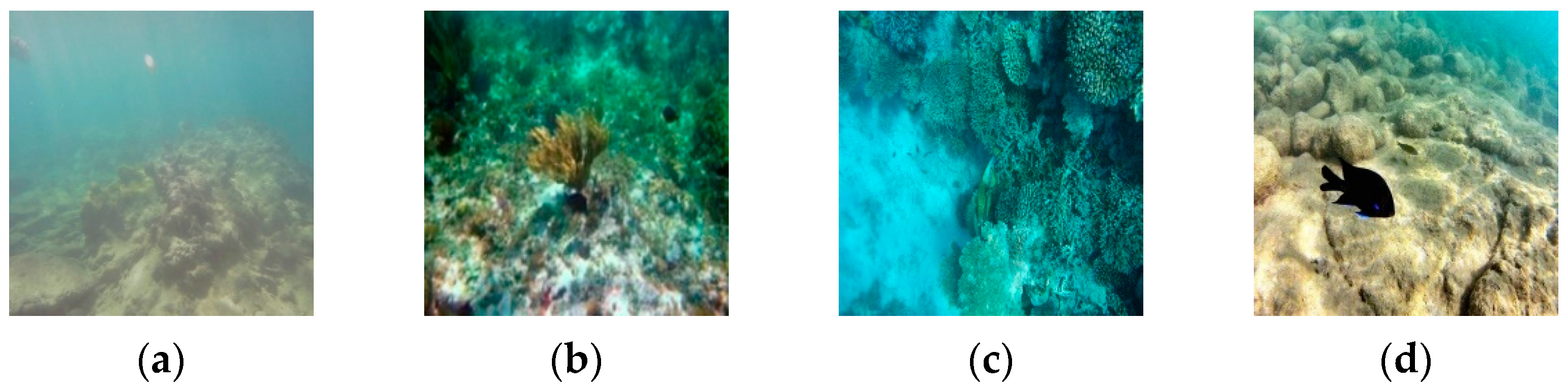 Jmse 11 00674 g001 Jmse 11 00674 g001