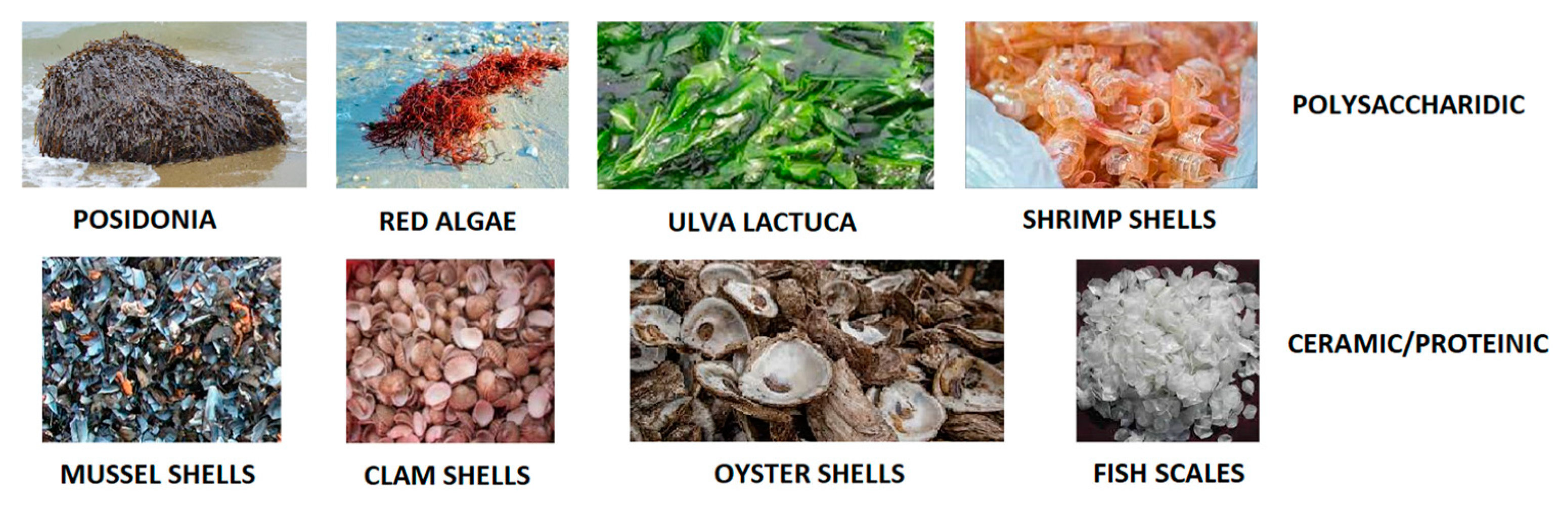 Jmse 11 00855 g001 Jmse 11 00855 g001