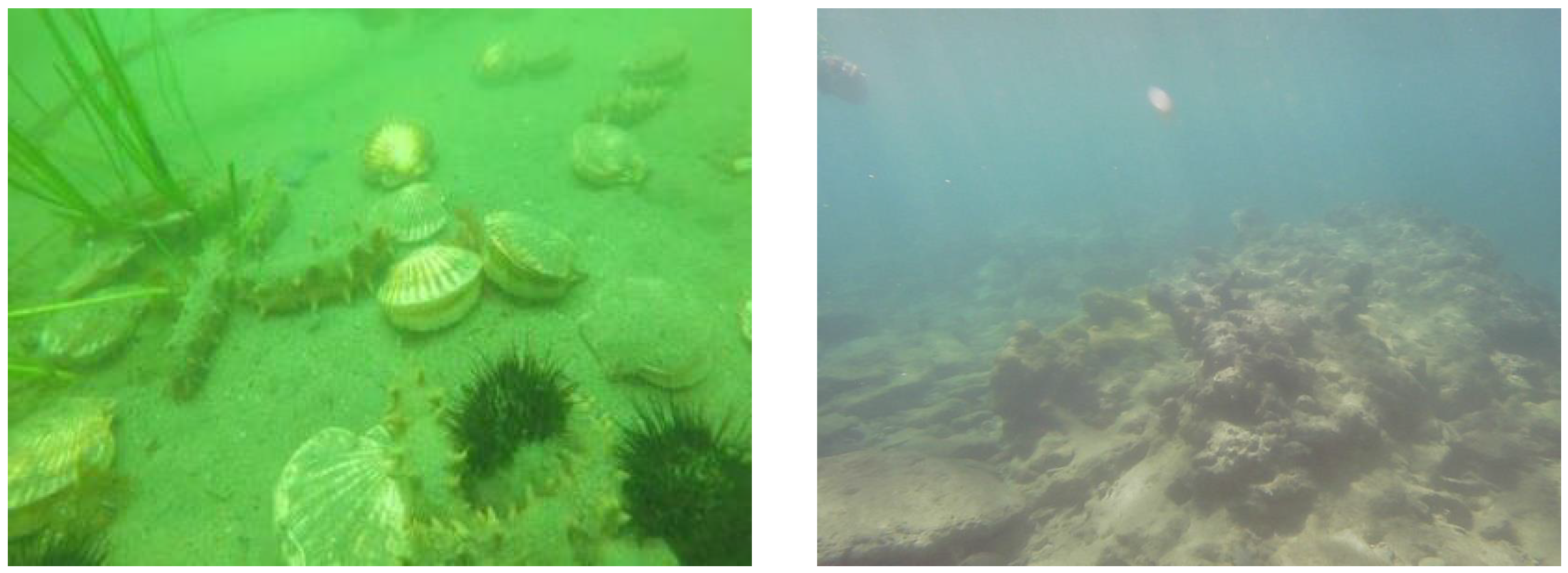 Jmse 11 00949 g008 Jmse 11 00949 g008