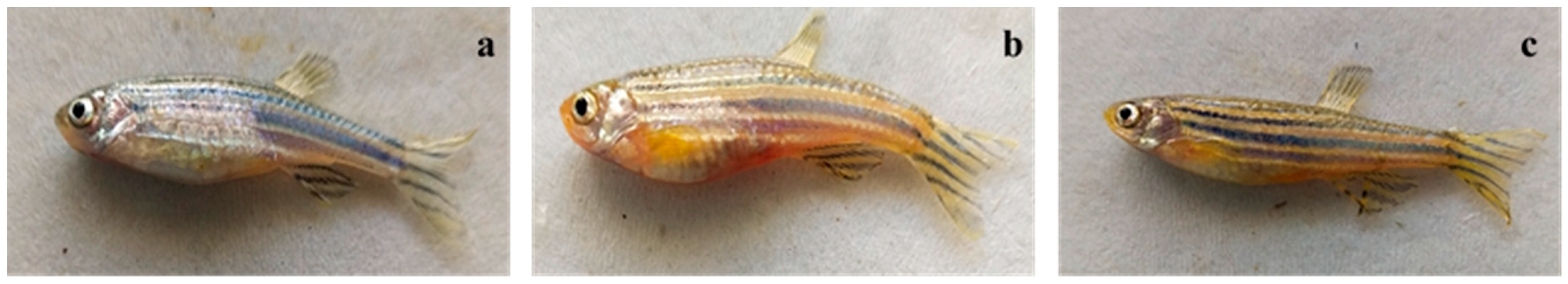 Jmse 11 01081 g001 Jmse 11 01081 g001