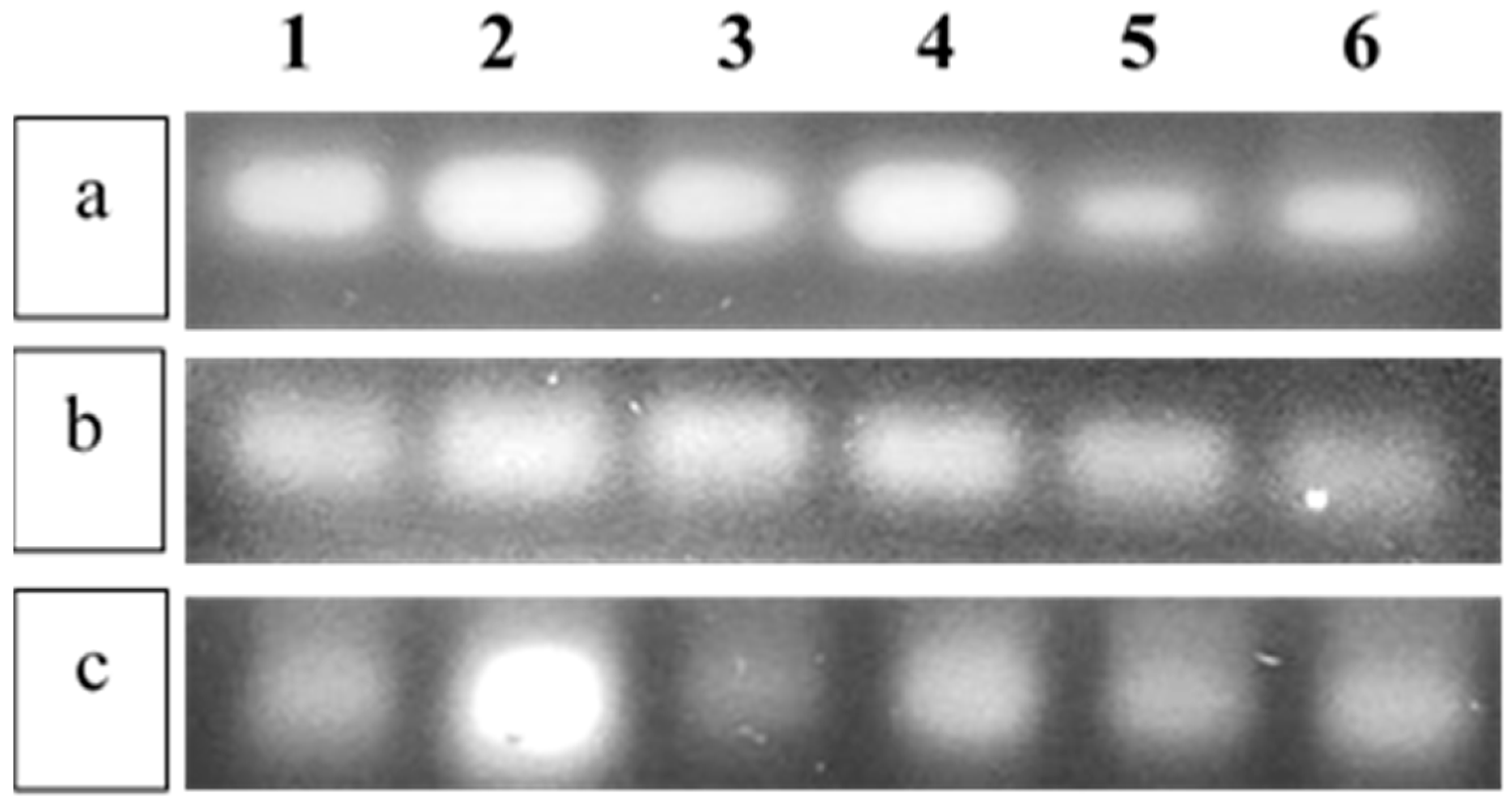 Jmse 11 01081 g004 Jmse 11 01081 g004