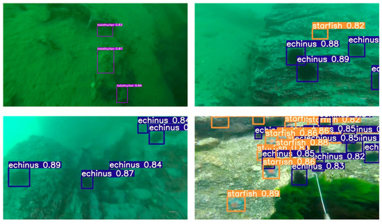 JMSE | Free Full-Text | Underwater Object Detection Algorithm Based on ...