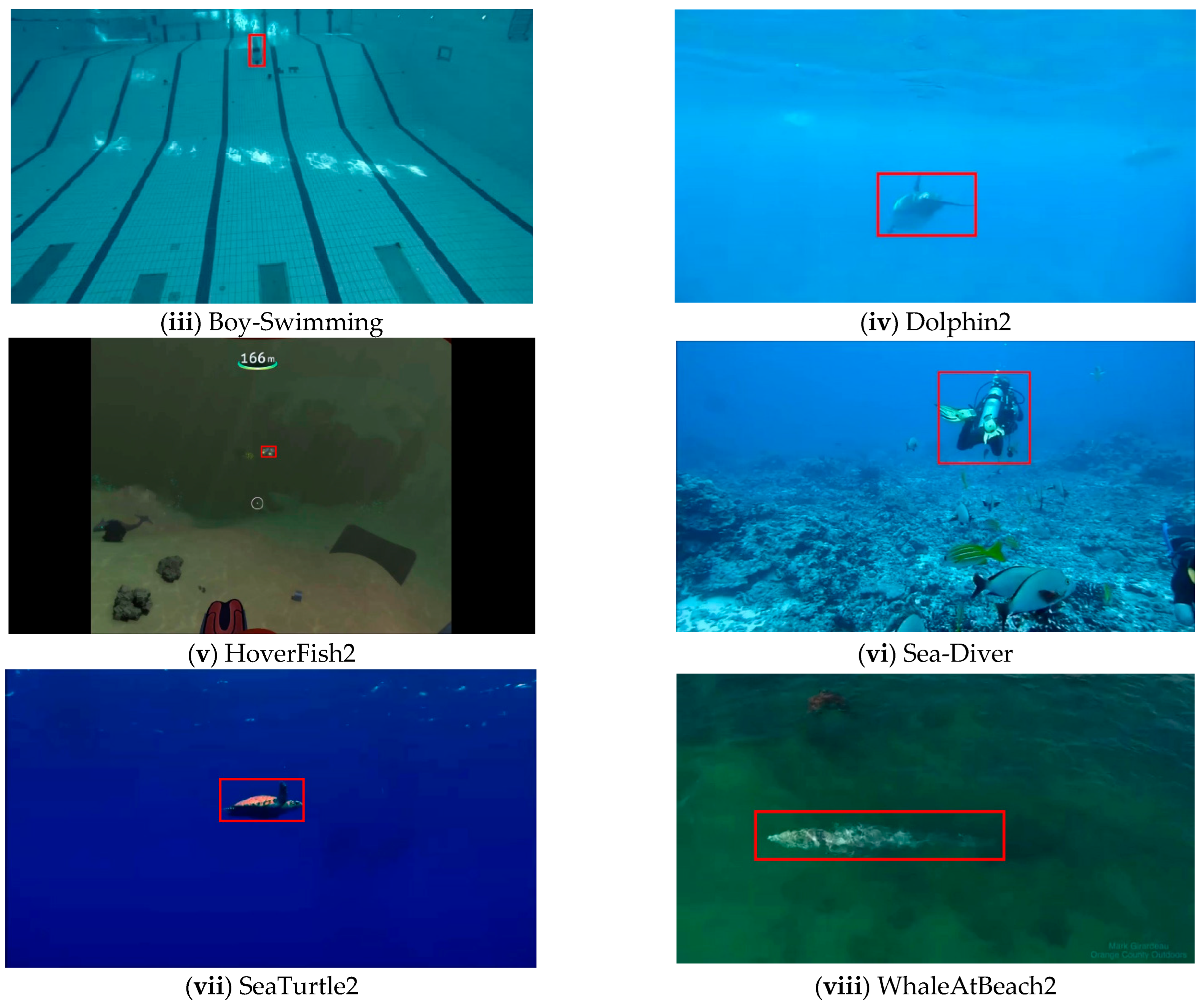 Jmse 11 01456 g005b Jmse 11 01456 g005b