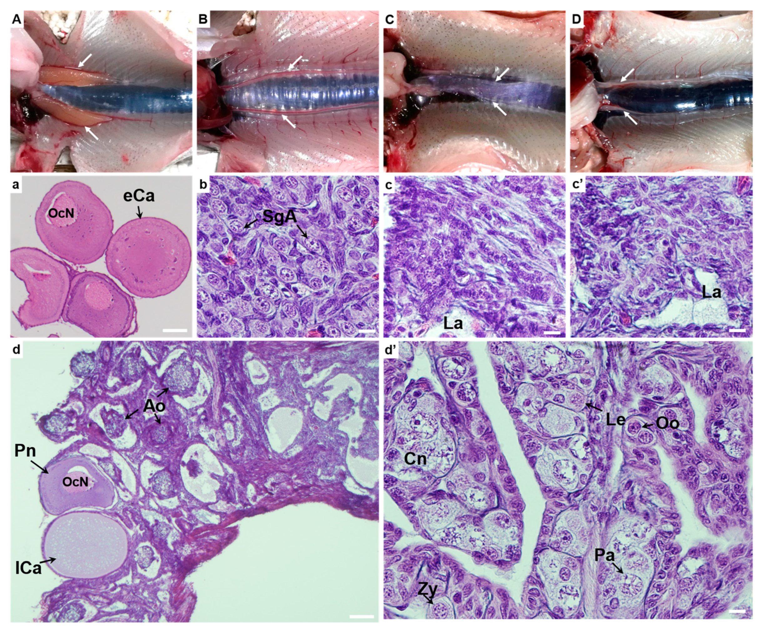 Jmse 11 02208 g003 Jmse 11 02208 g003