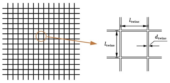 Definitions of half mesh size (L) and twine diameter (dw). (a) A