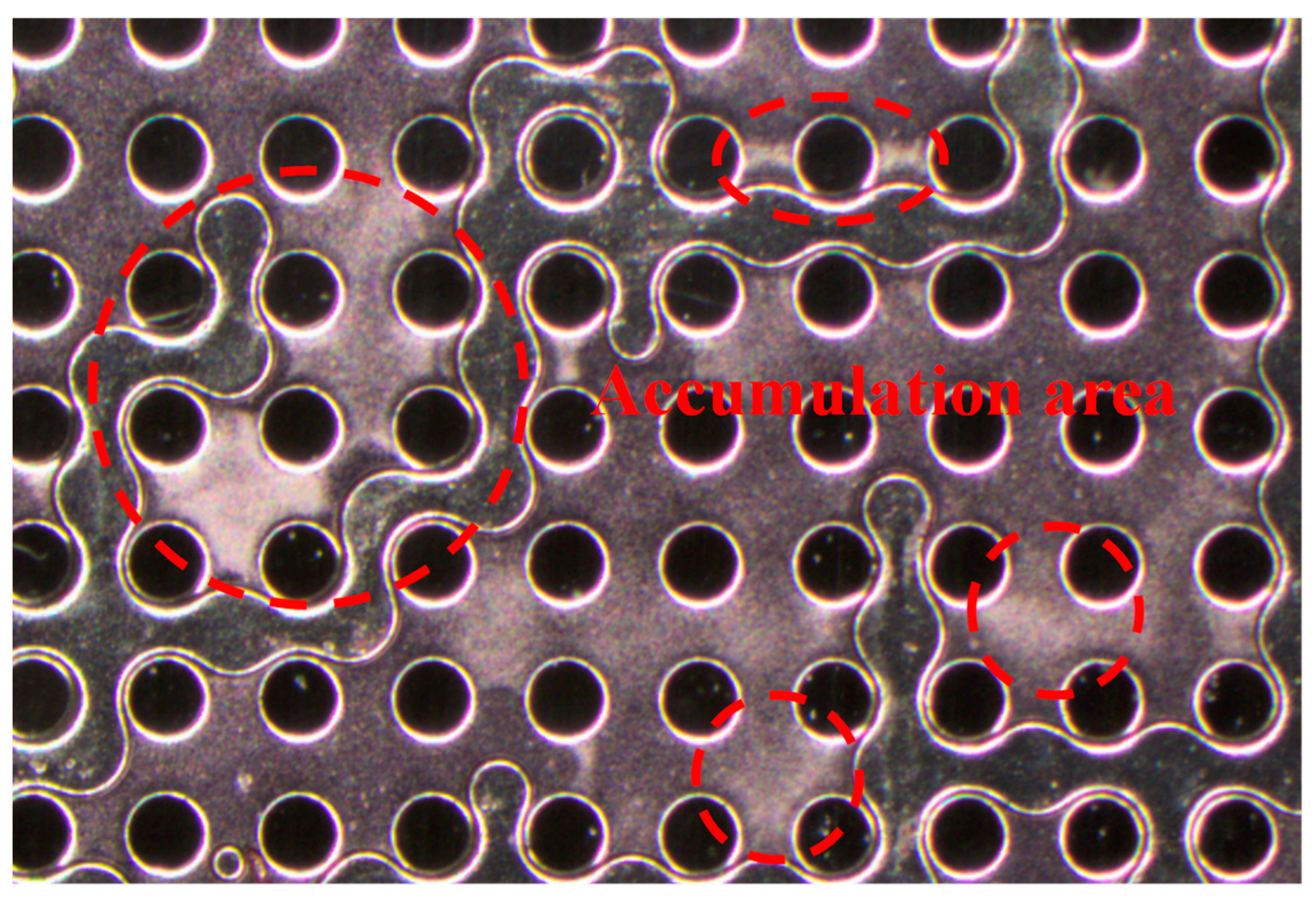 Jmse 12 00109 g014