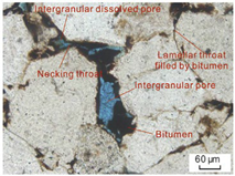 Jmse 12 00908 i001