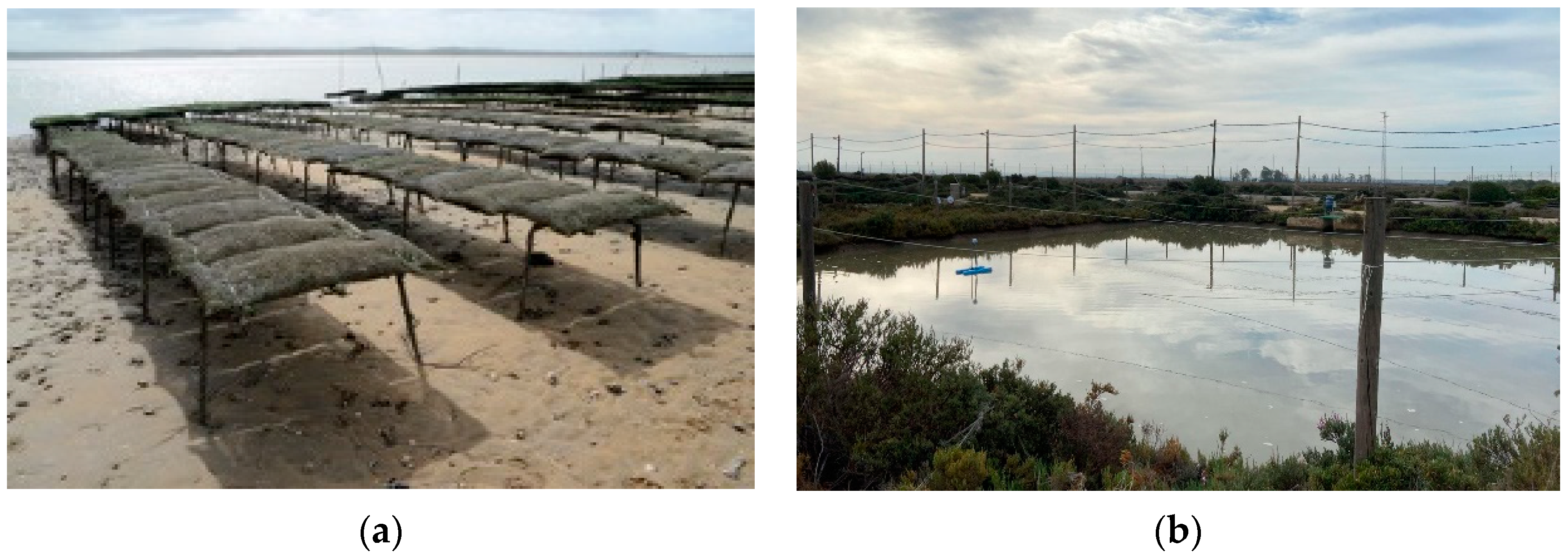 Jmse 12 01192 g004 Jmse 12 01192 g004