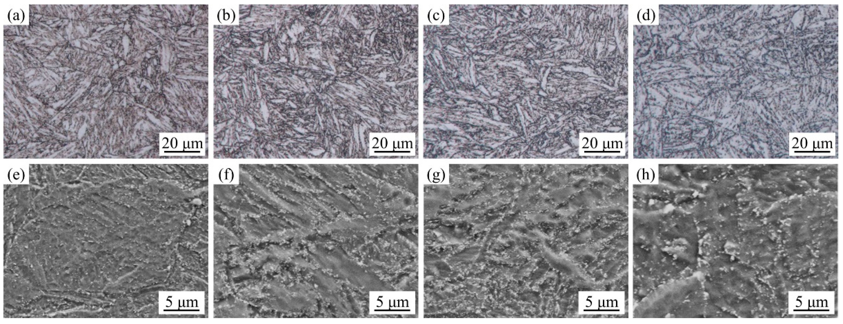 Jne 04 00009 g006 Jne 04 00009 g006