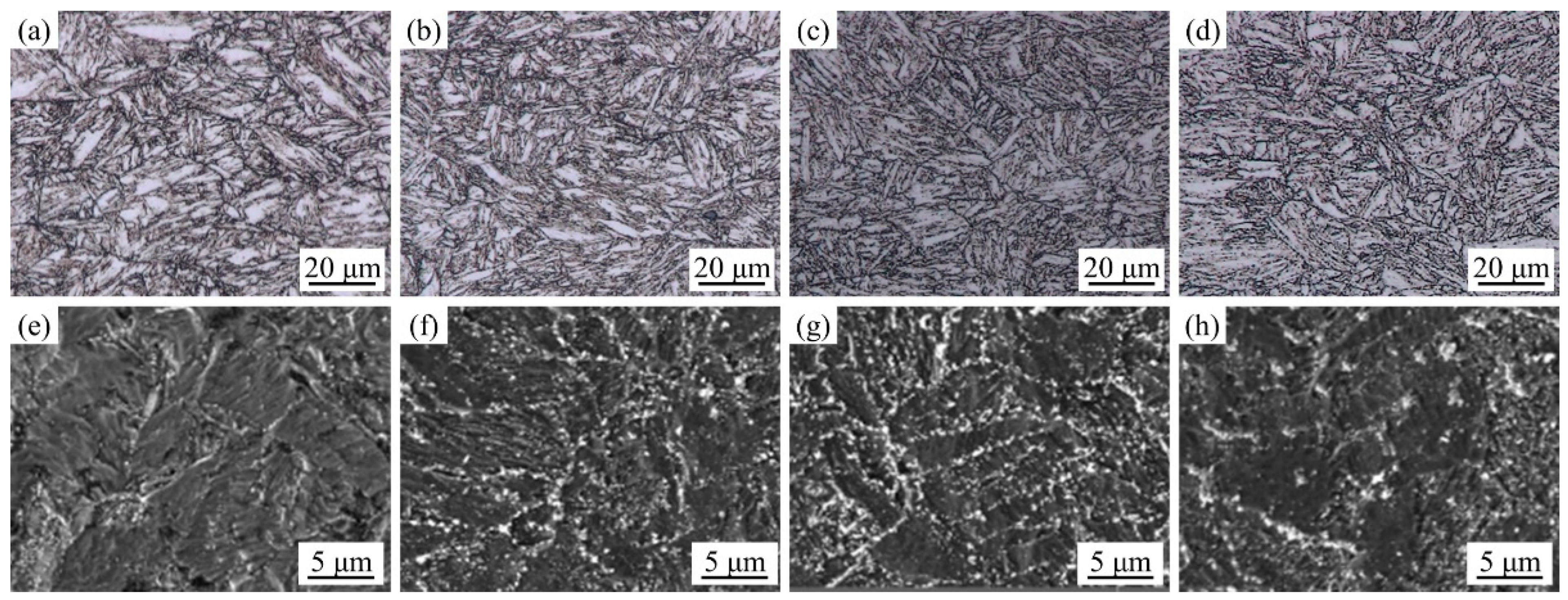 Jne 04 00009 g007 Jne 04 00009 g007