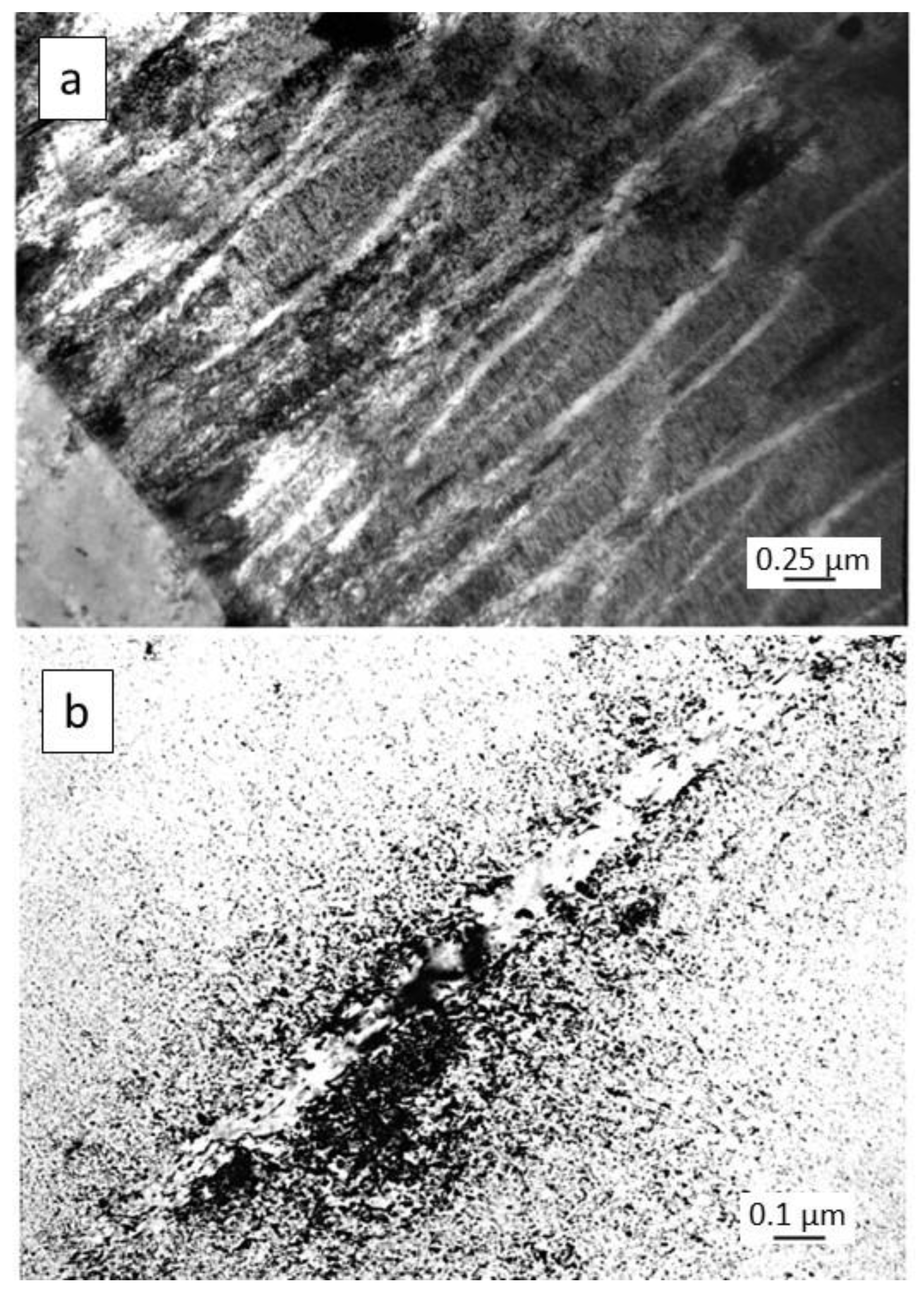 Jne 04 00026 g007 Jne 04 00026 g007