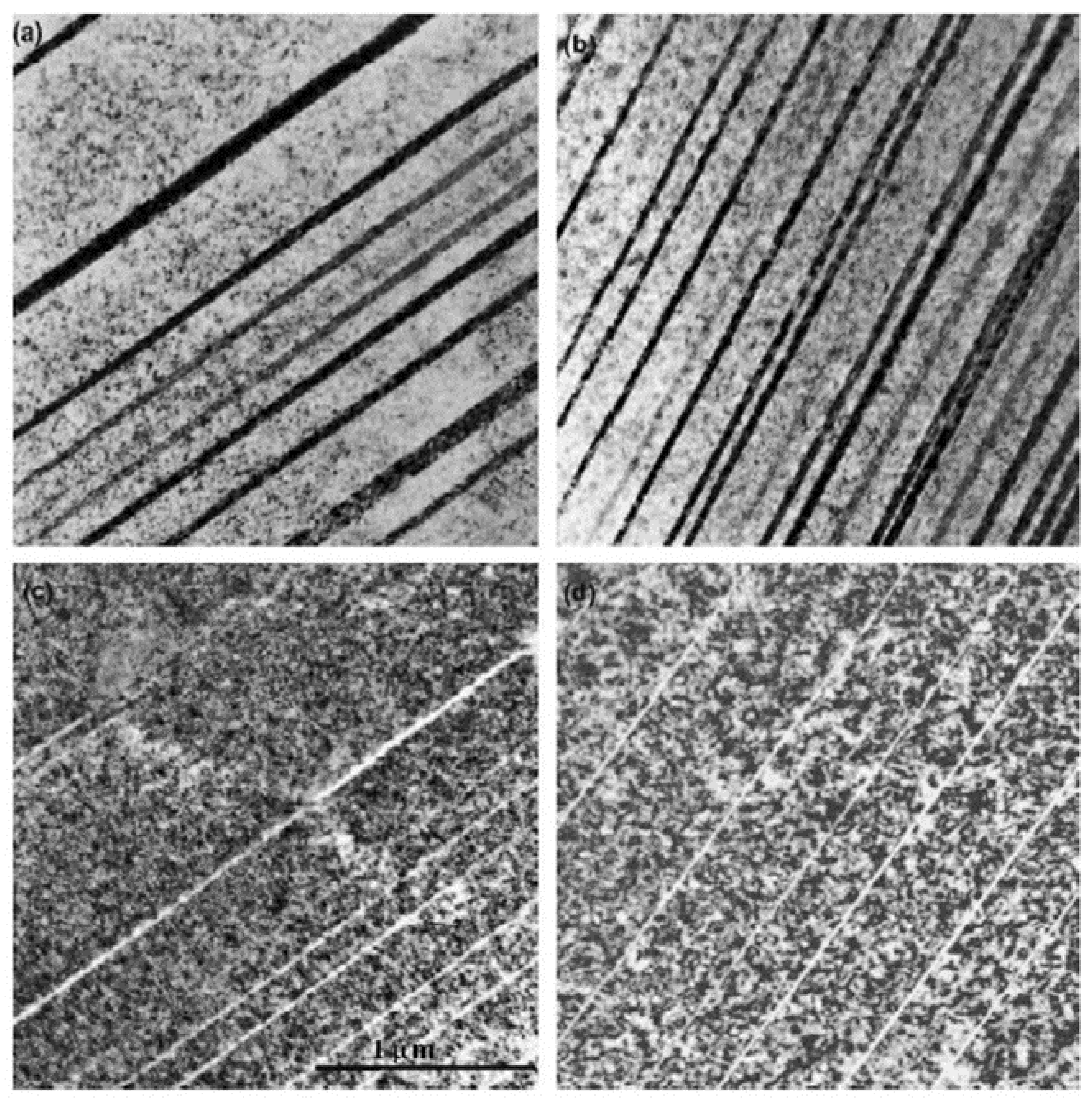 Jne 04 00026 g008 Jne 04 00026 g008