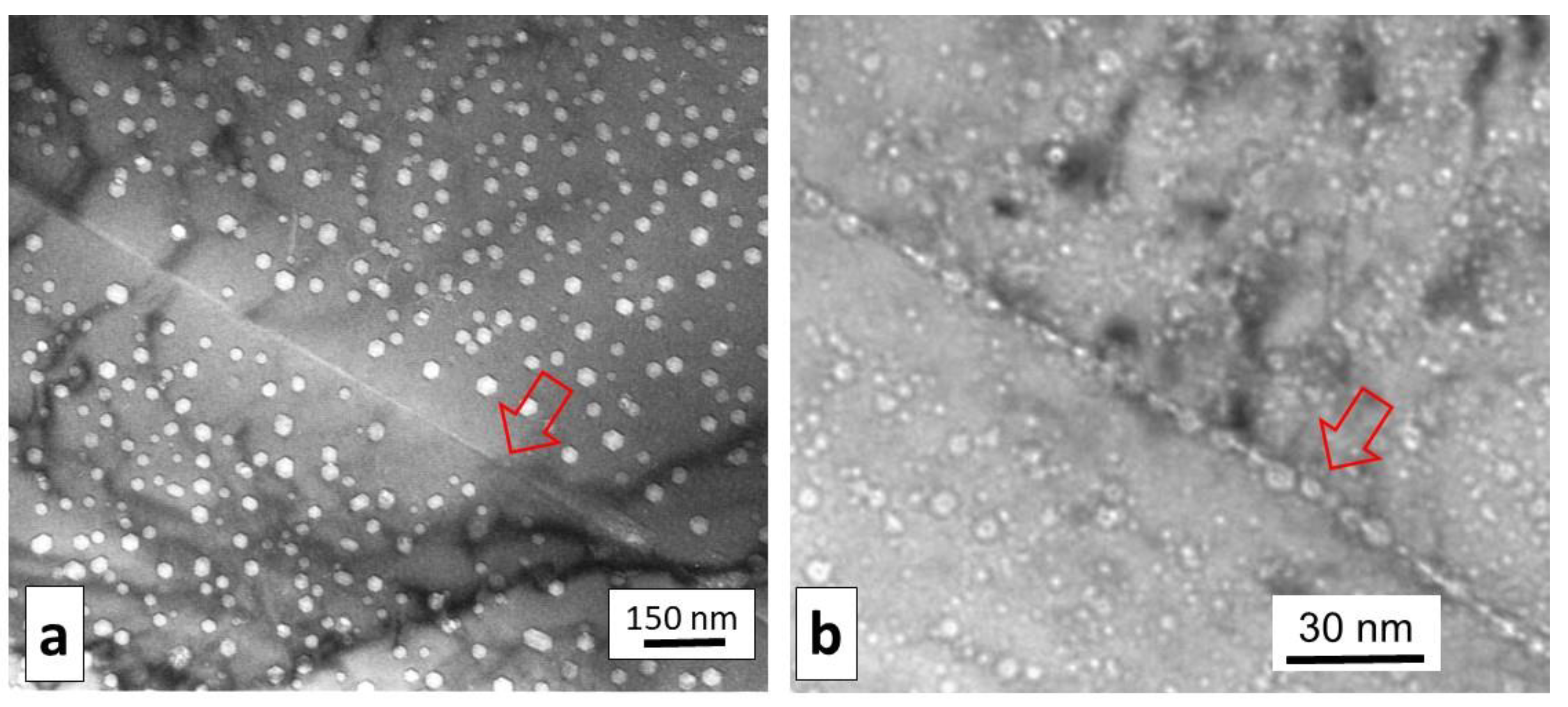 Jne 04 00026 g014 Jne 04 00026 g014