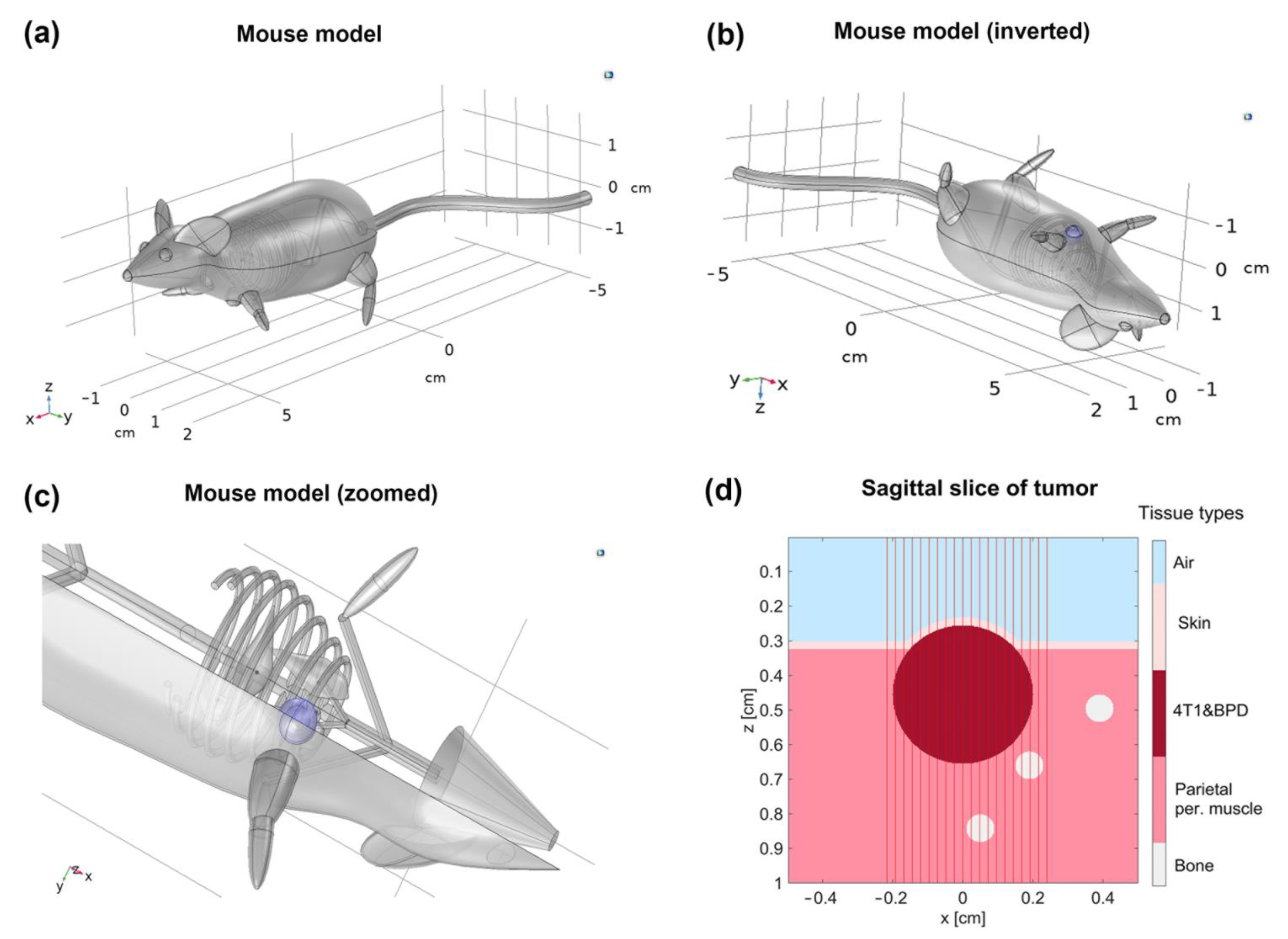 Jnt 03 00004 g001 Jnt 03 00004 g001