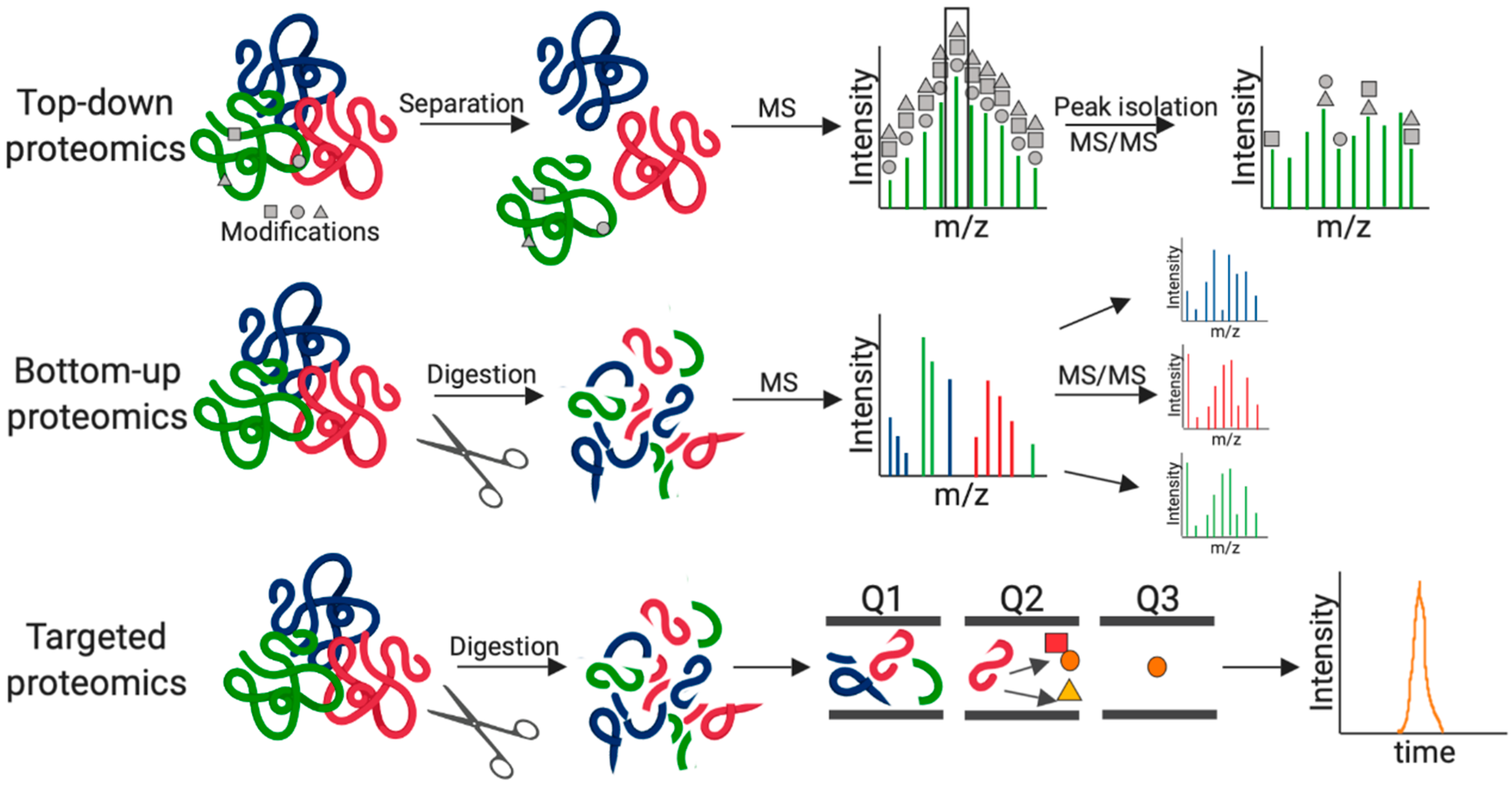 JoF Free Full Text Mass Spectrometry Based Proteomics Of Fungal Pathogenesis HostFungal