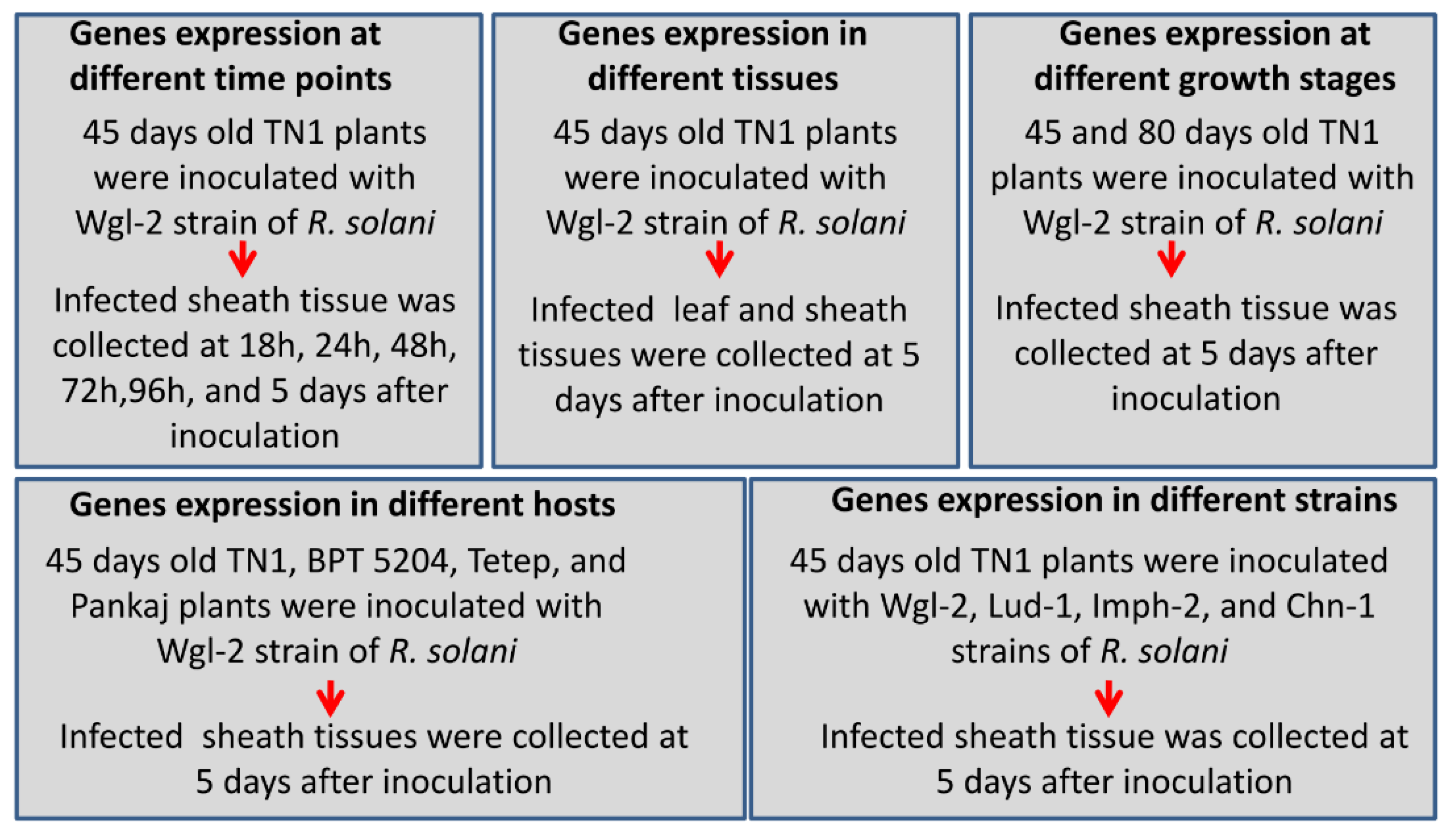 JoF | Free Full-Text | A Comprehensive Gene Expression Profile of