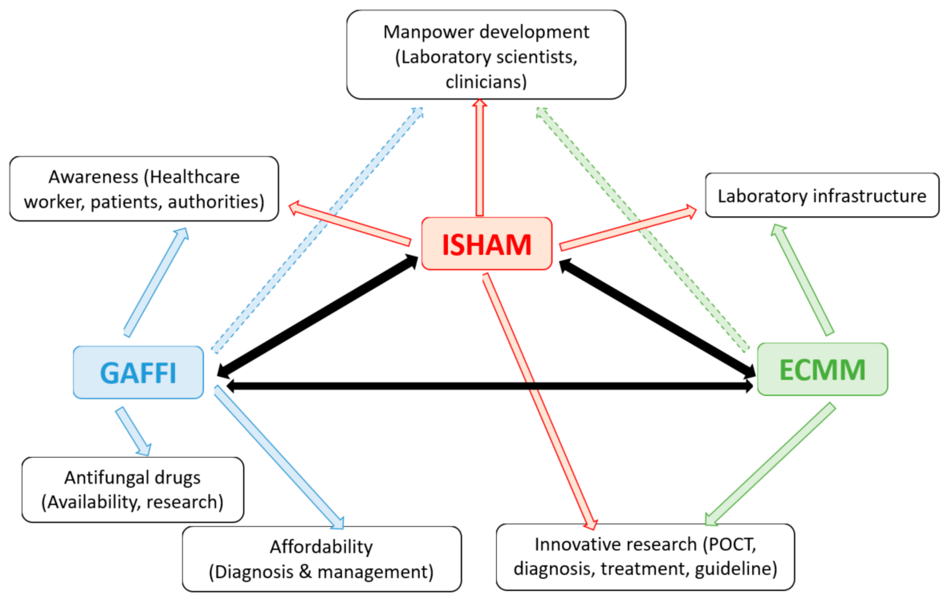 JoF | Free Full-Text | International Society for Human and Animal Mycology  (ISHAM)—New Initiatives | HTML