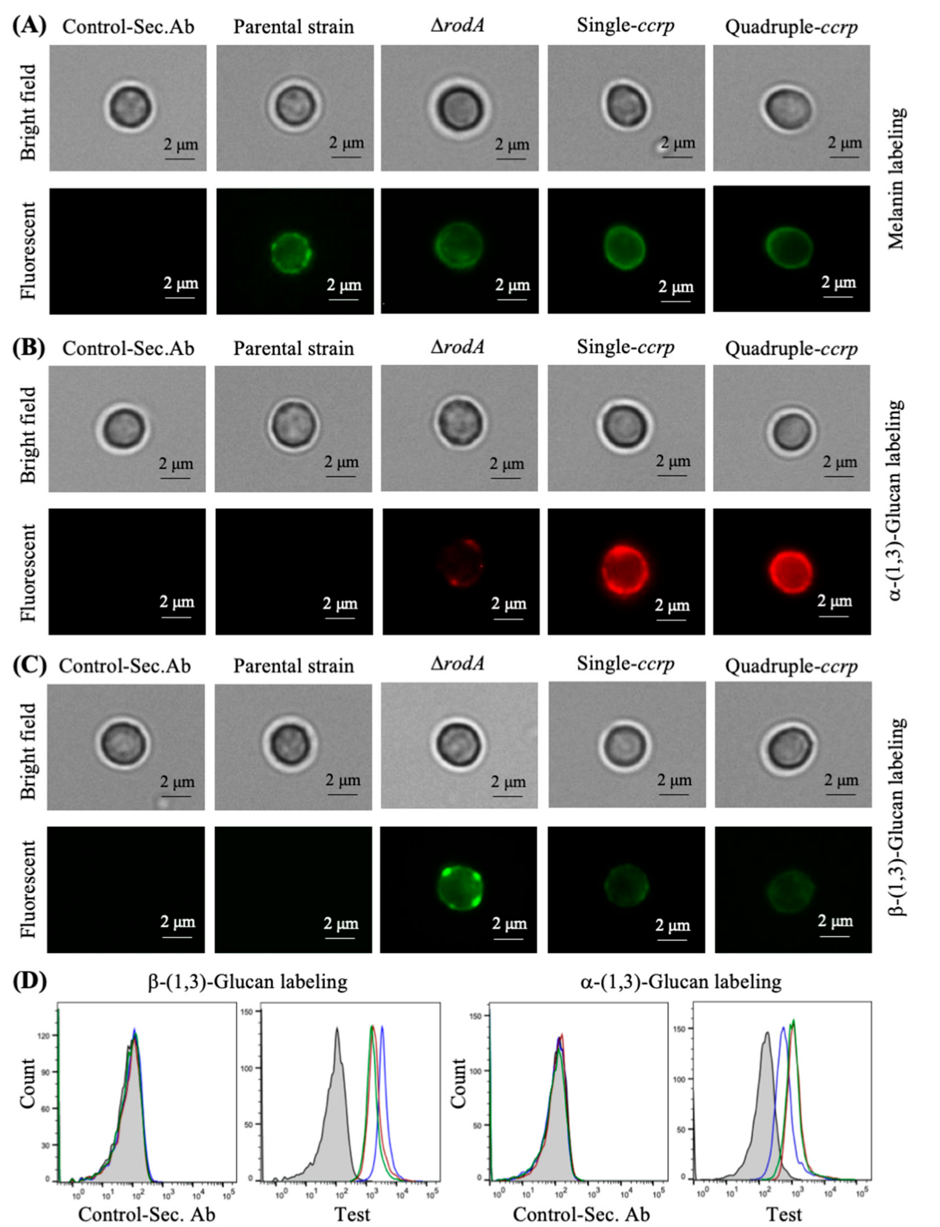 Jof 06 00151 g003 Jof 06 00151 g003