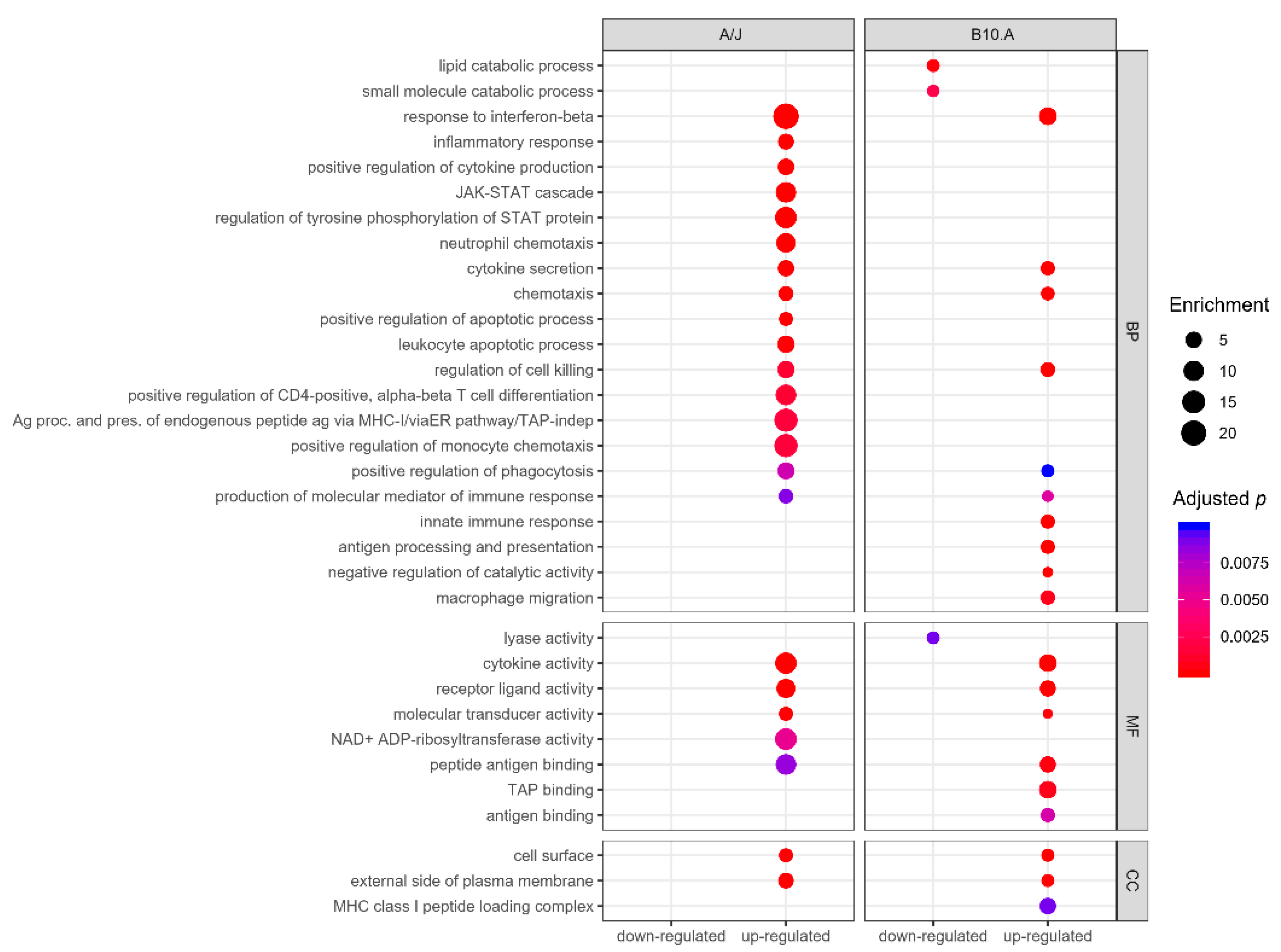 Jof 06 00311 g002 Jof 06 00311 g002