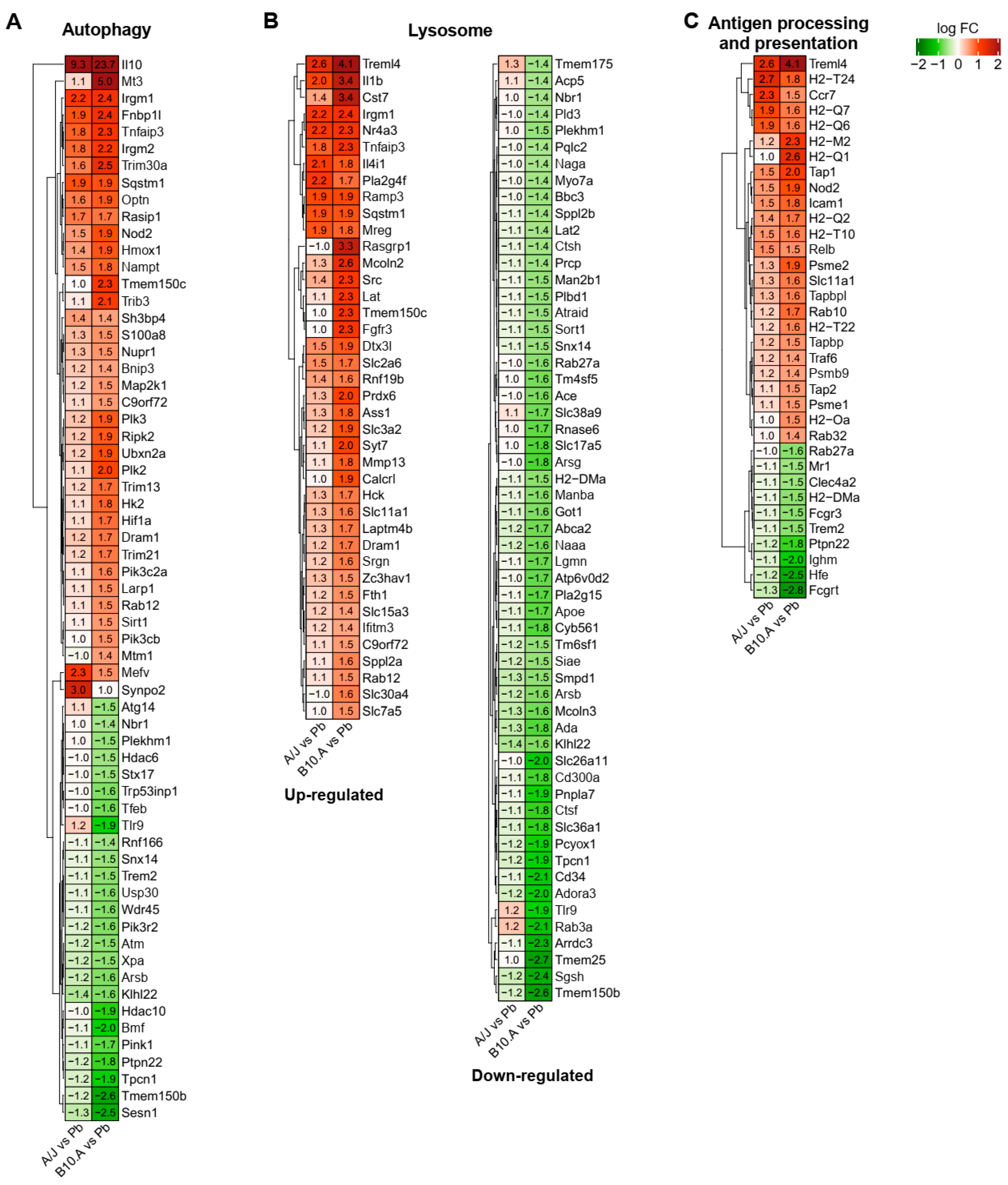 Jof 06 00311 g006 Jof 06 00311 g006