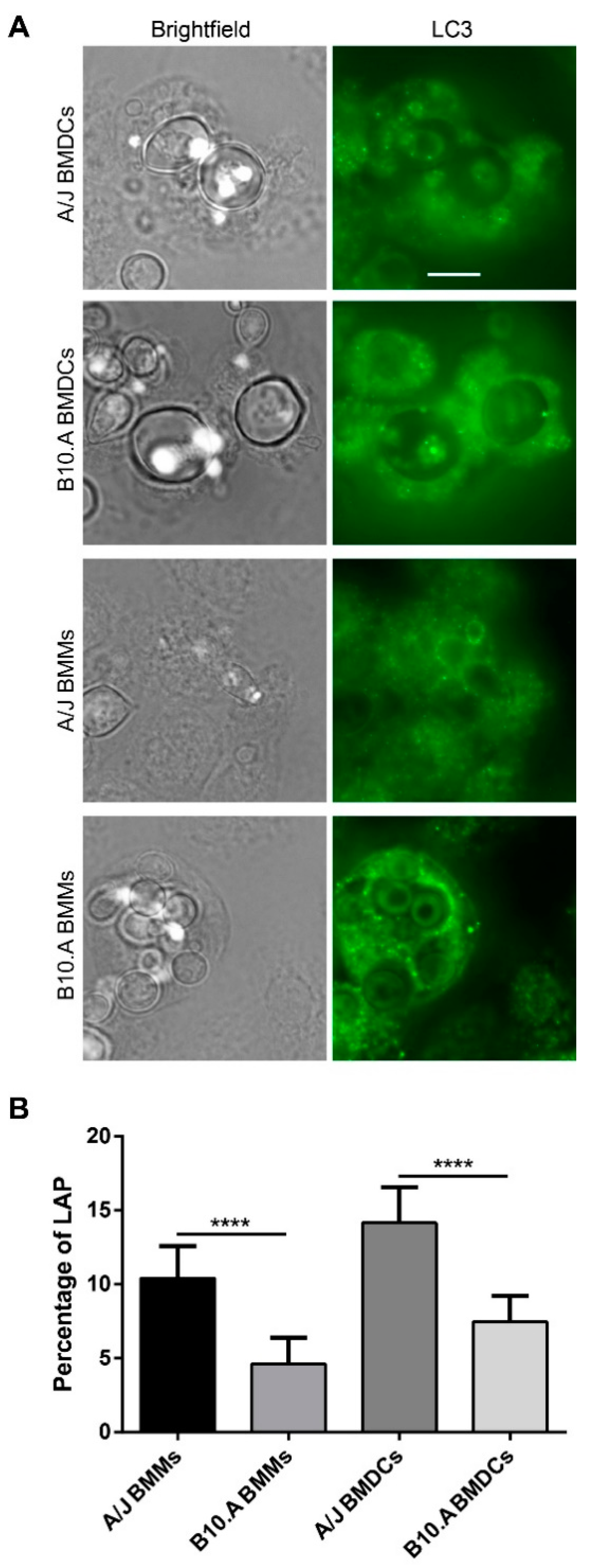 Jof 06 00311 g007 Jof 06 00311 g007