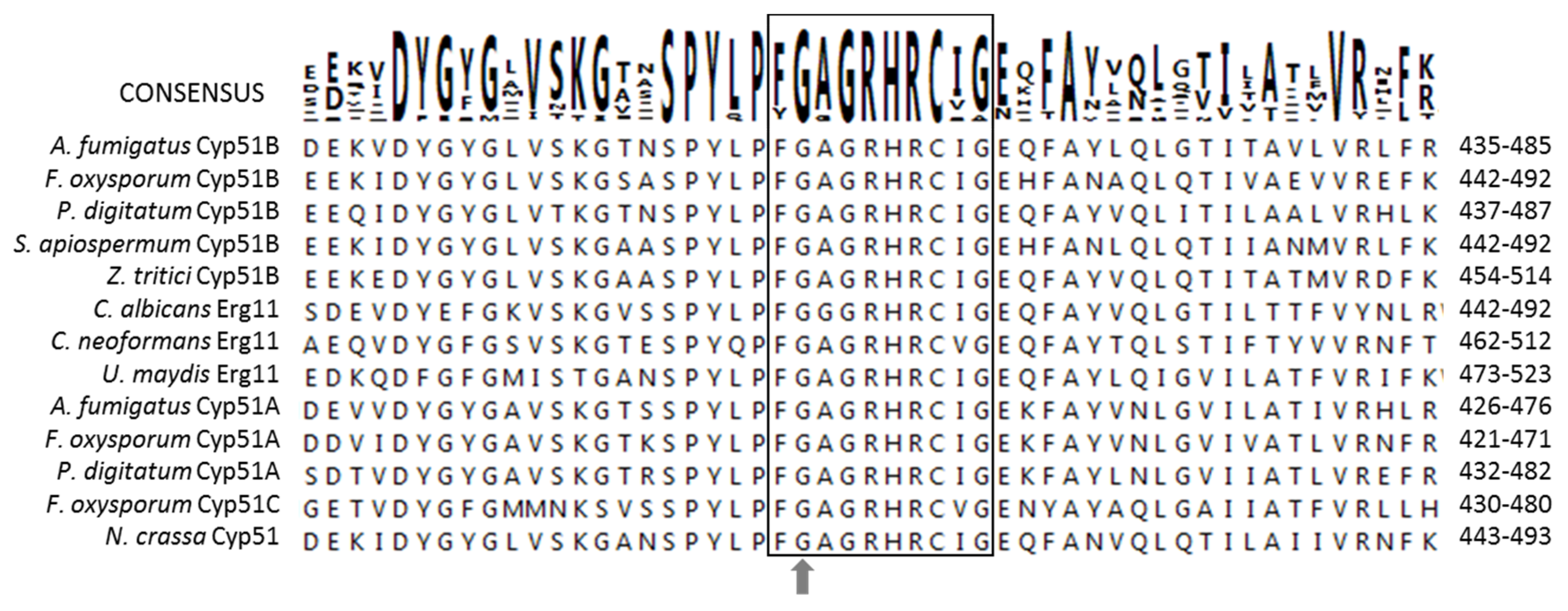 Jof 06 00315 g003 Jof 06 00315 g003