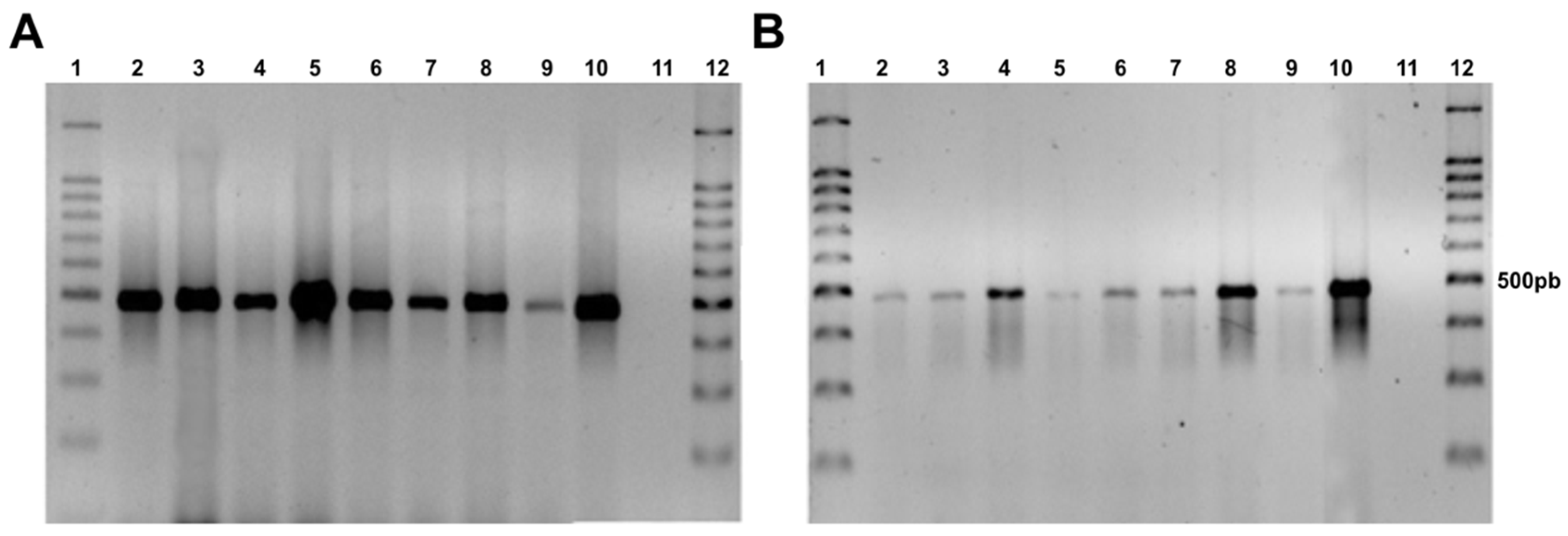 Jof 06 00325 g002 Jof 06 00325 g002
