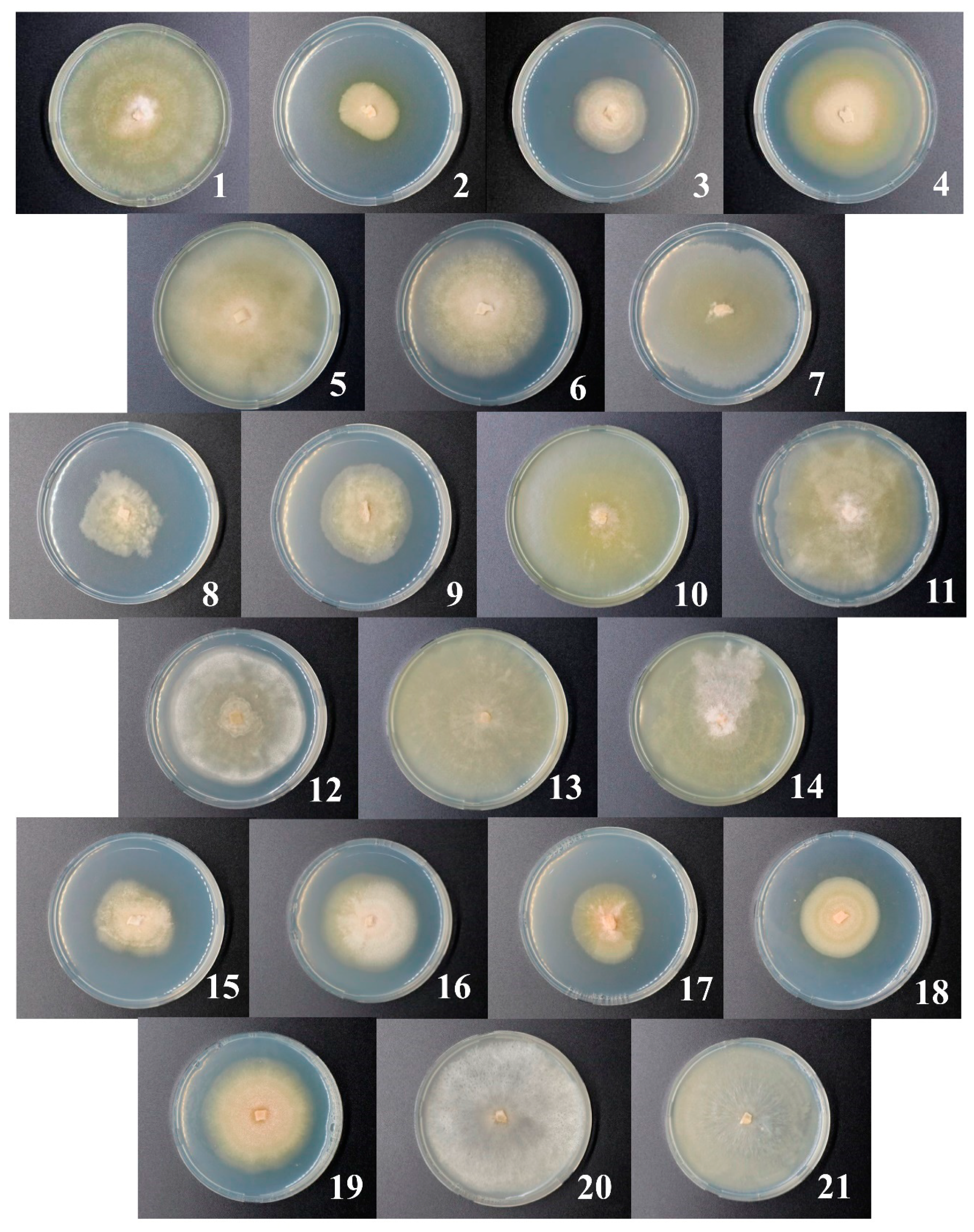 Jof 06 00335 g006 Jof 06 00335 g006