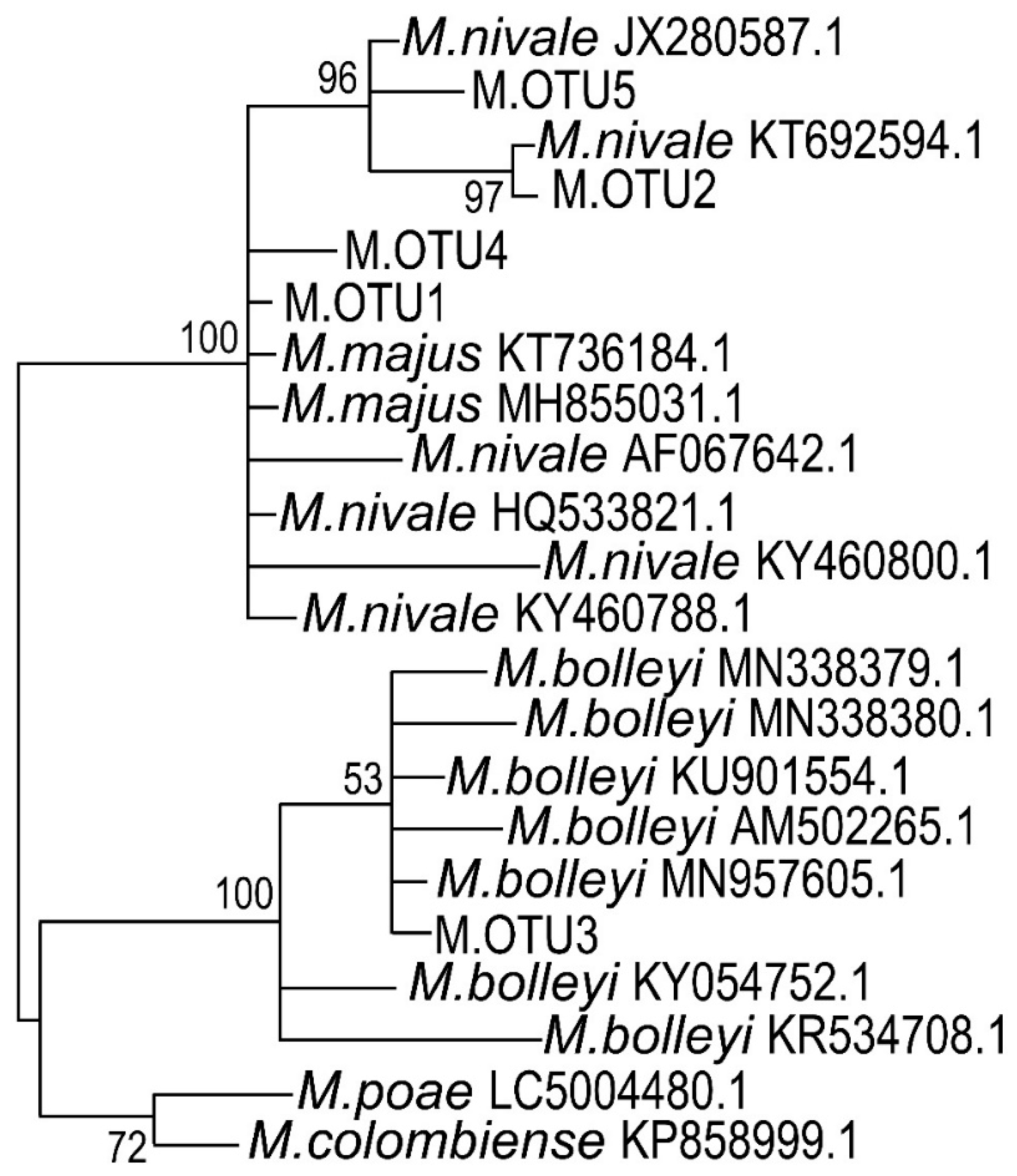 Jof 06 00335 g009 Jof 06 00335 g009