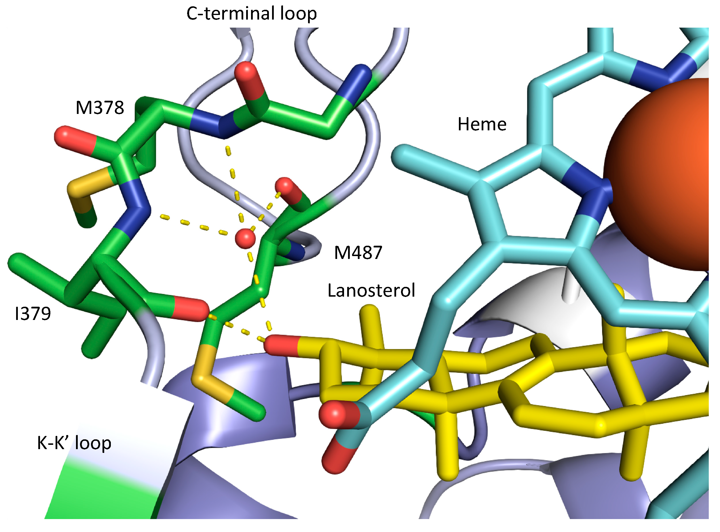 JoF  Free Full-Text  Sterol 14α-Demethylase Ligand-Binding 