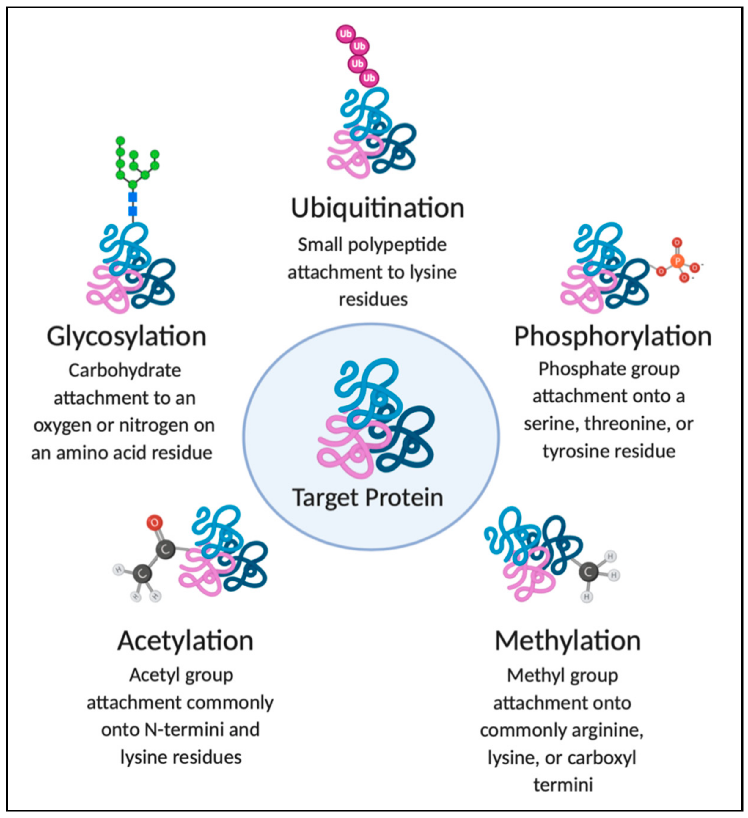 Jof 07 00124 g001 Jof 07 00124 g001