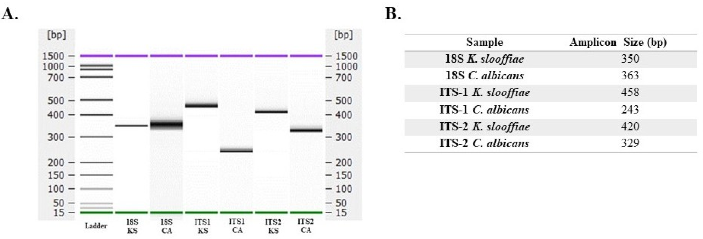 Jof 07 00146 g004 Jof 07 00146 g004