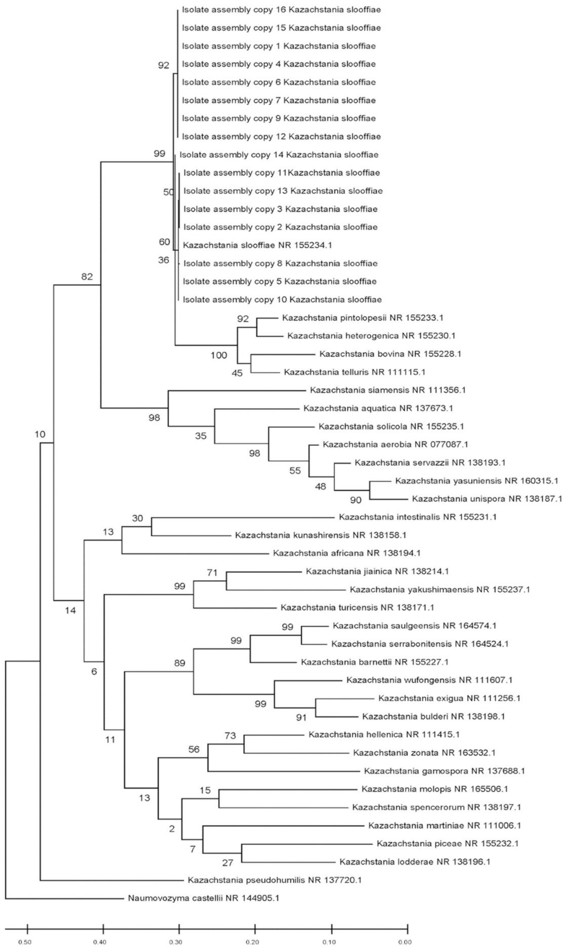 Jof 07 00146 g005 Jof 07 00146 g005