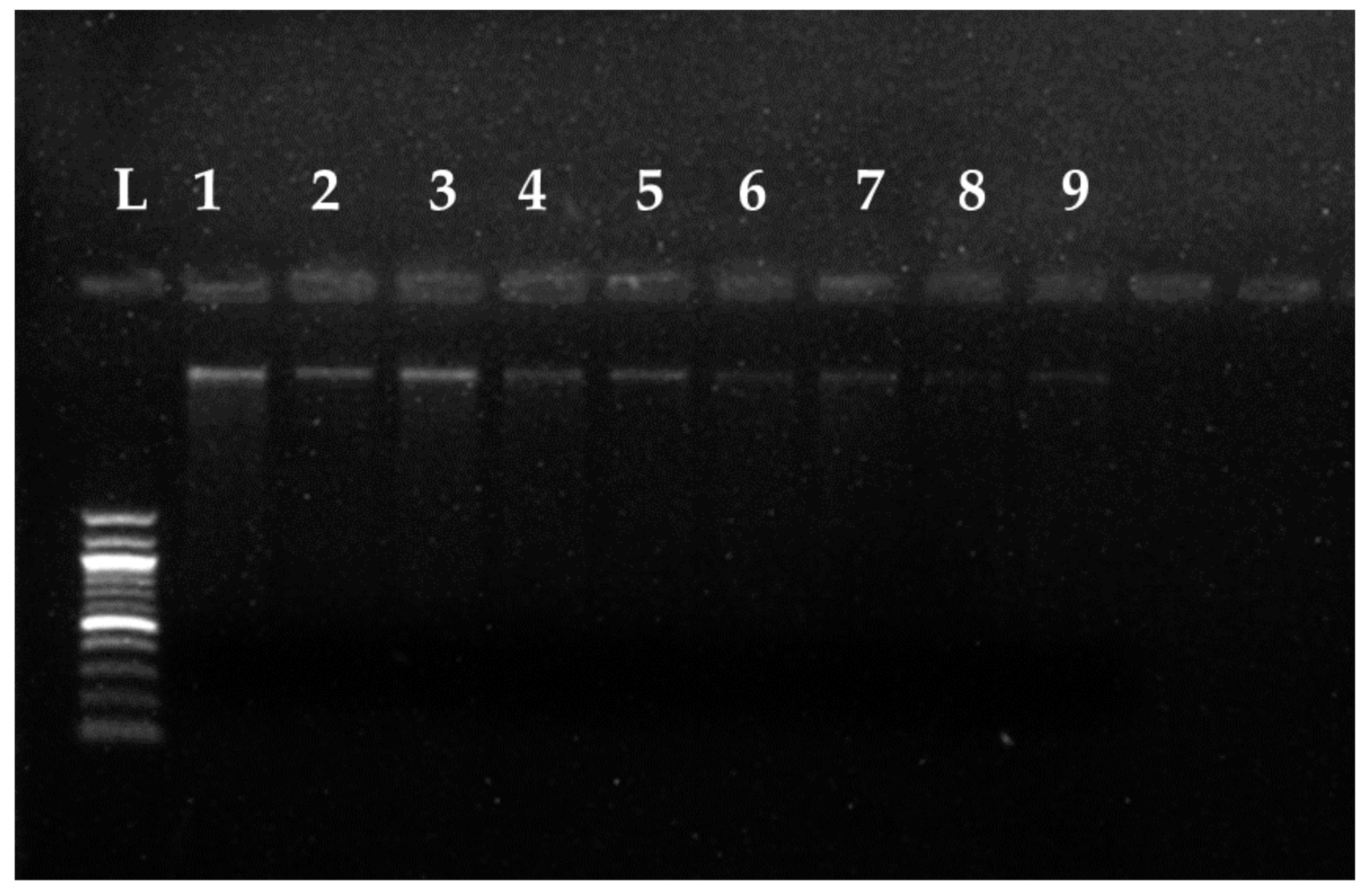 Jof 07 00223 g009 Jof 07 00223 g009