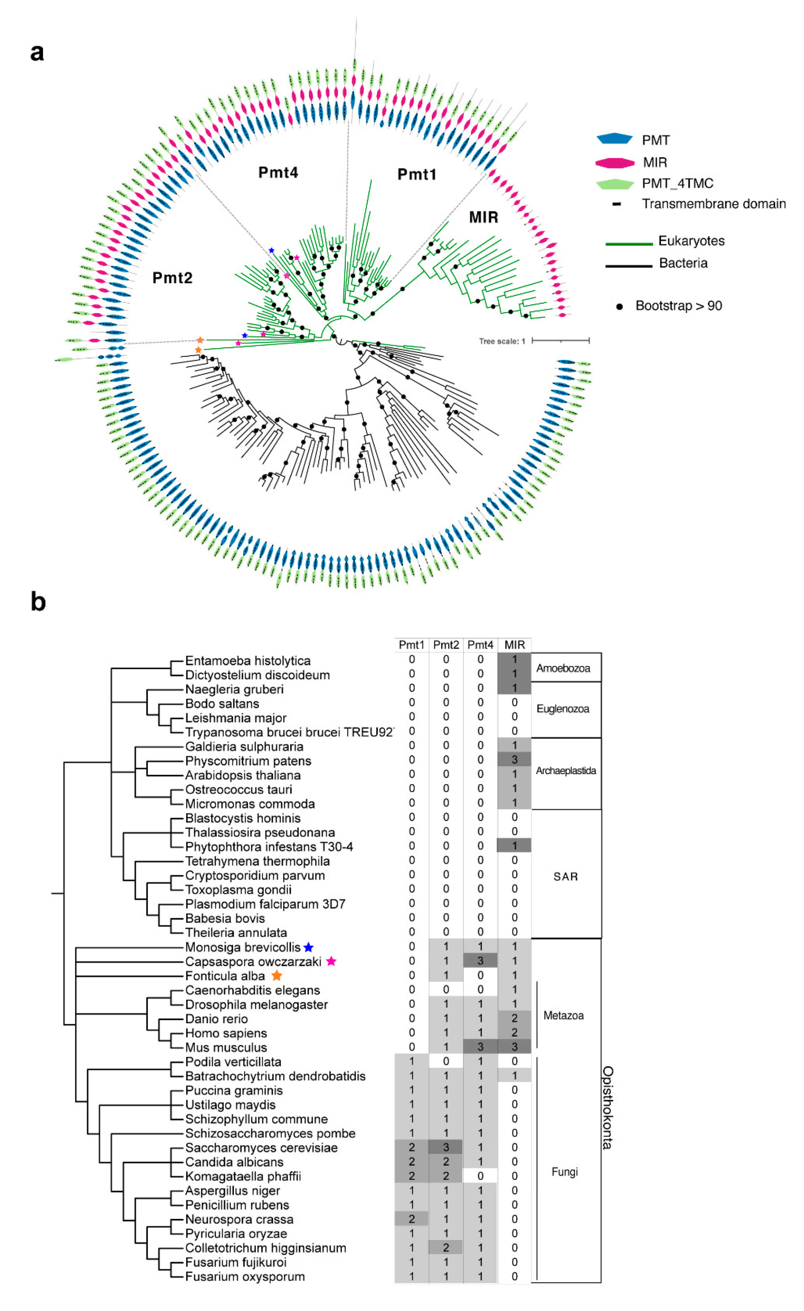 https://www.mdpi.com/jof/jof-07-00328/article_deploy/html/images/jof-07-00328-g002.png