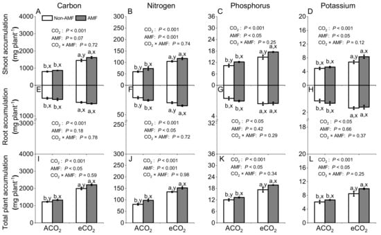 Jof Free Full Text Arbuscular Mycorrhization Enhances Nitrogen Phosphorus And Potassium Accumulation In Vicia Faba By Modulating Soil Nutrient Balance Under Elevated Co2 Html