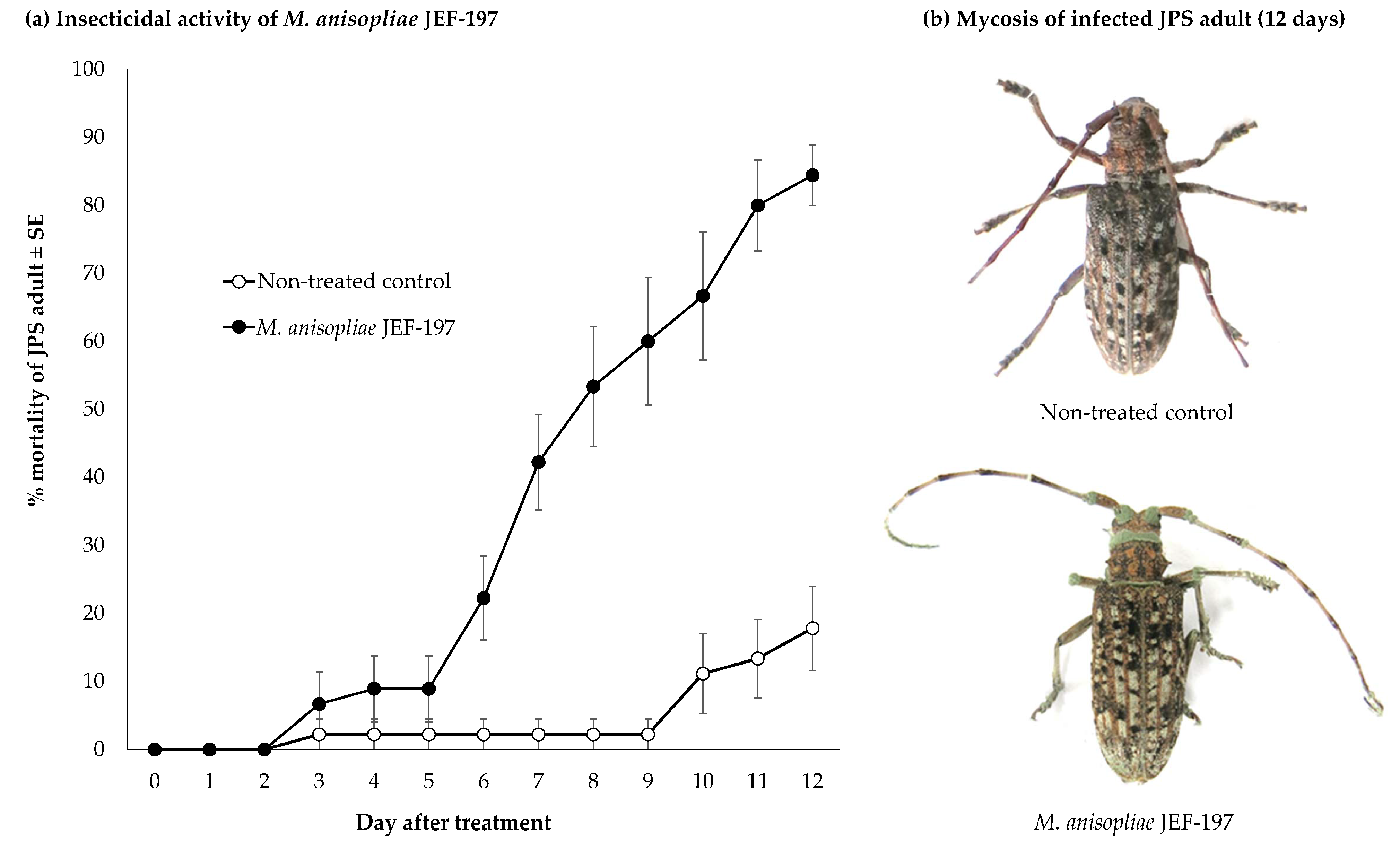 JoF | Free Full-Text | Transcriptome Analysis of the Japanese Pine Sawyer  Beetle, Monochamus alternatus, Infected with the Entomopathogenic Fungus  Metarhizium anisopliae JEF-197