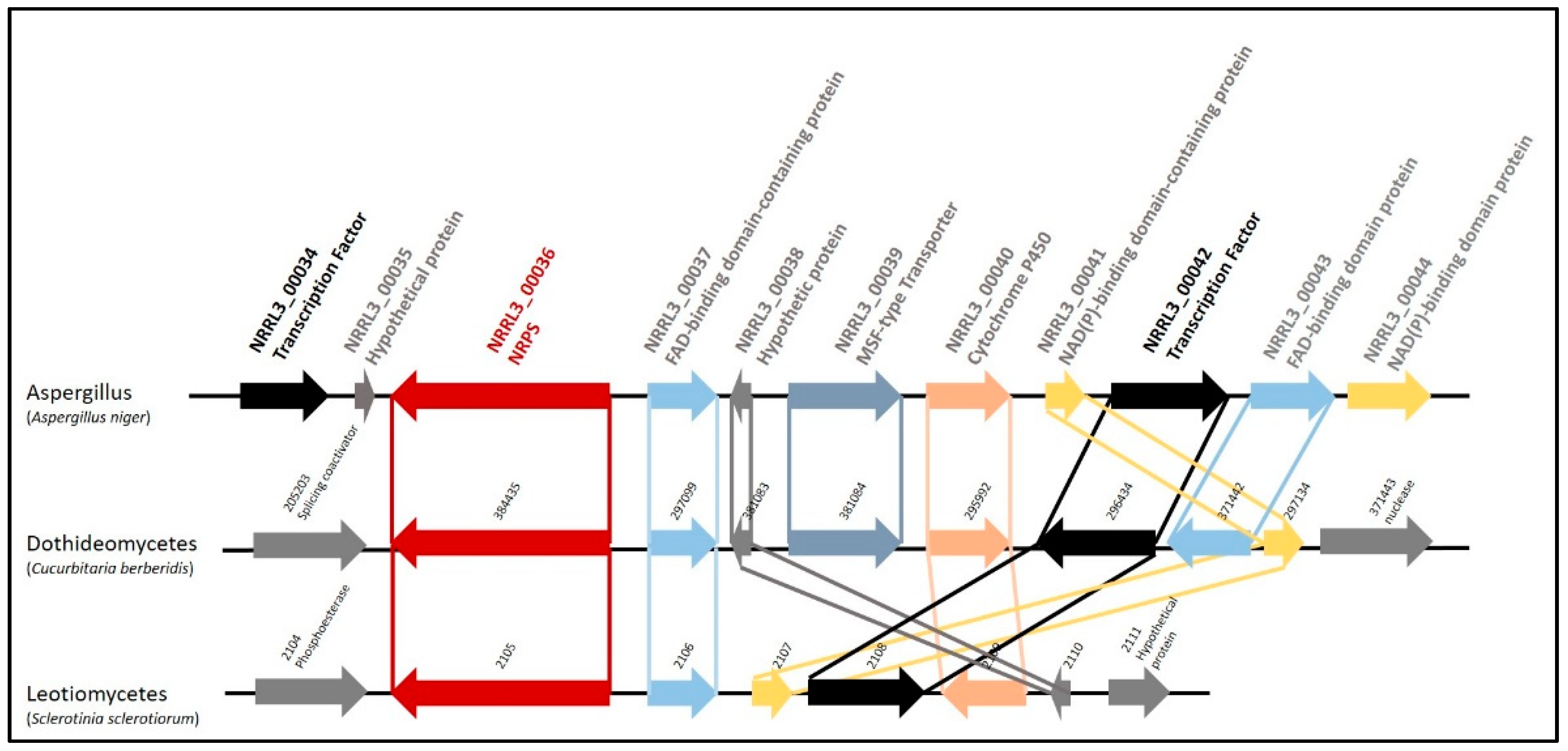 Jof 07 00374 g001 Jof 07 00374 g001