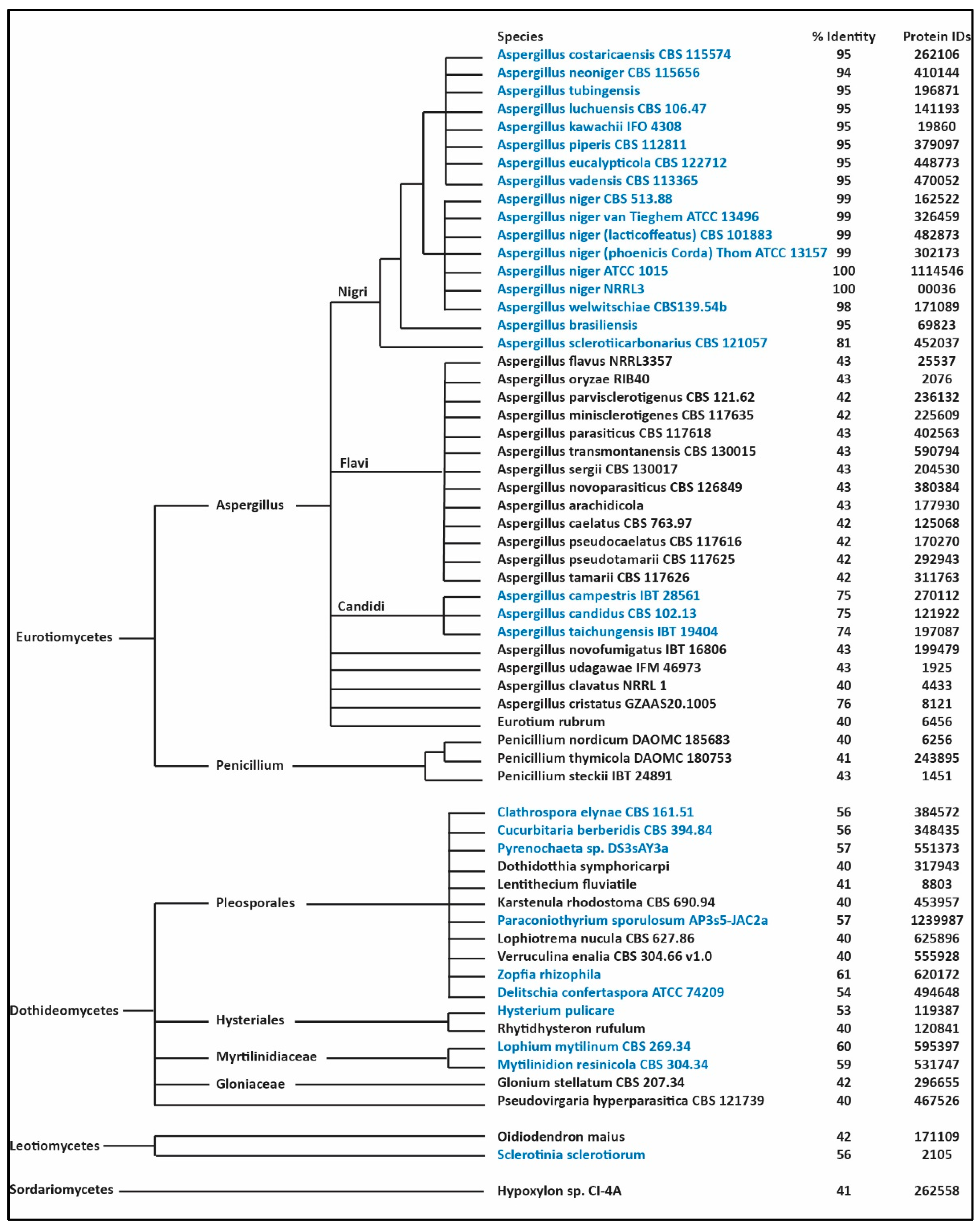Jof 07 00374 g002 Jof 07 00374 g002