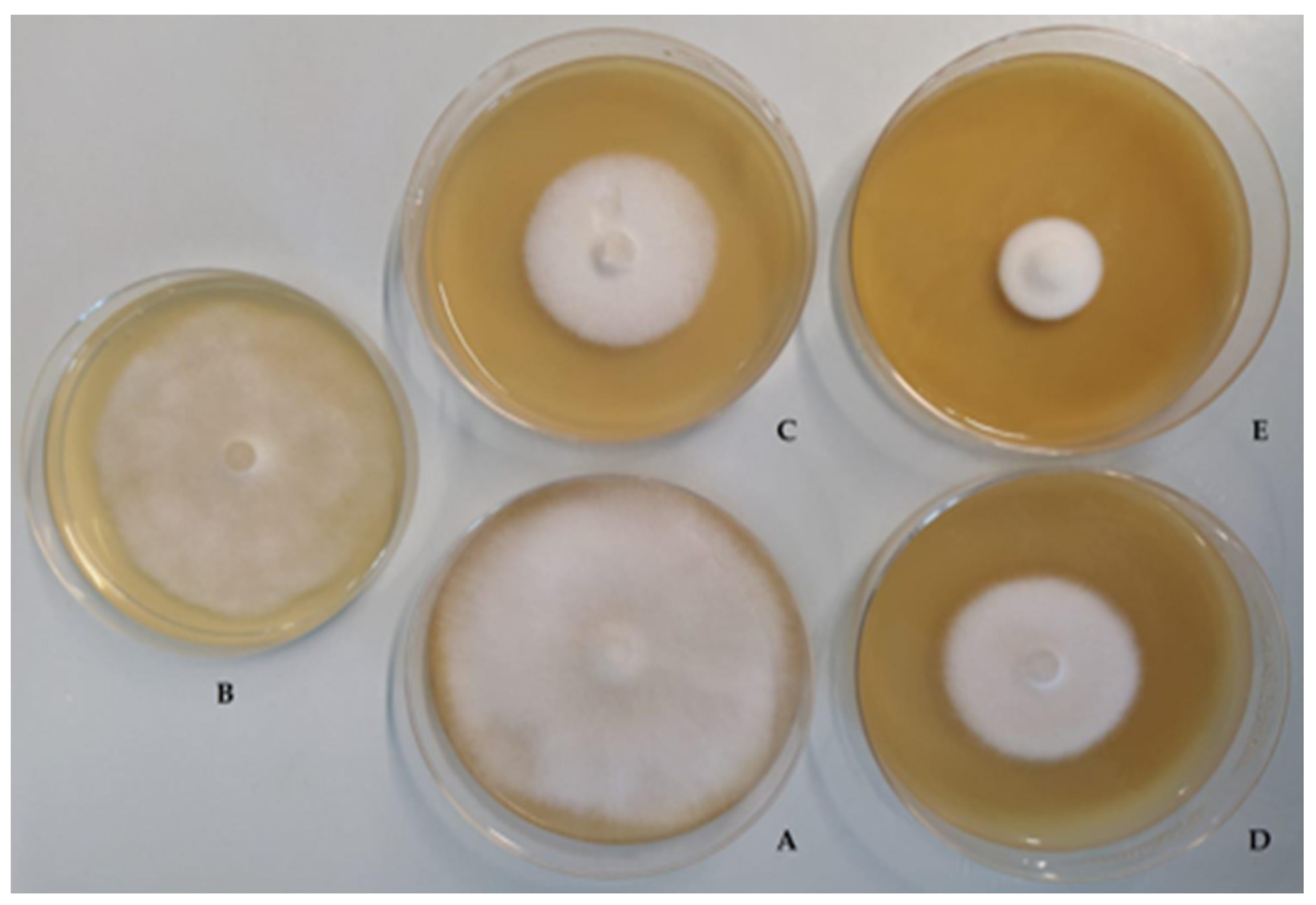 Jof 07 00379 g002 Jof 07 00379 g002