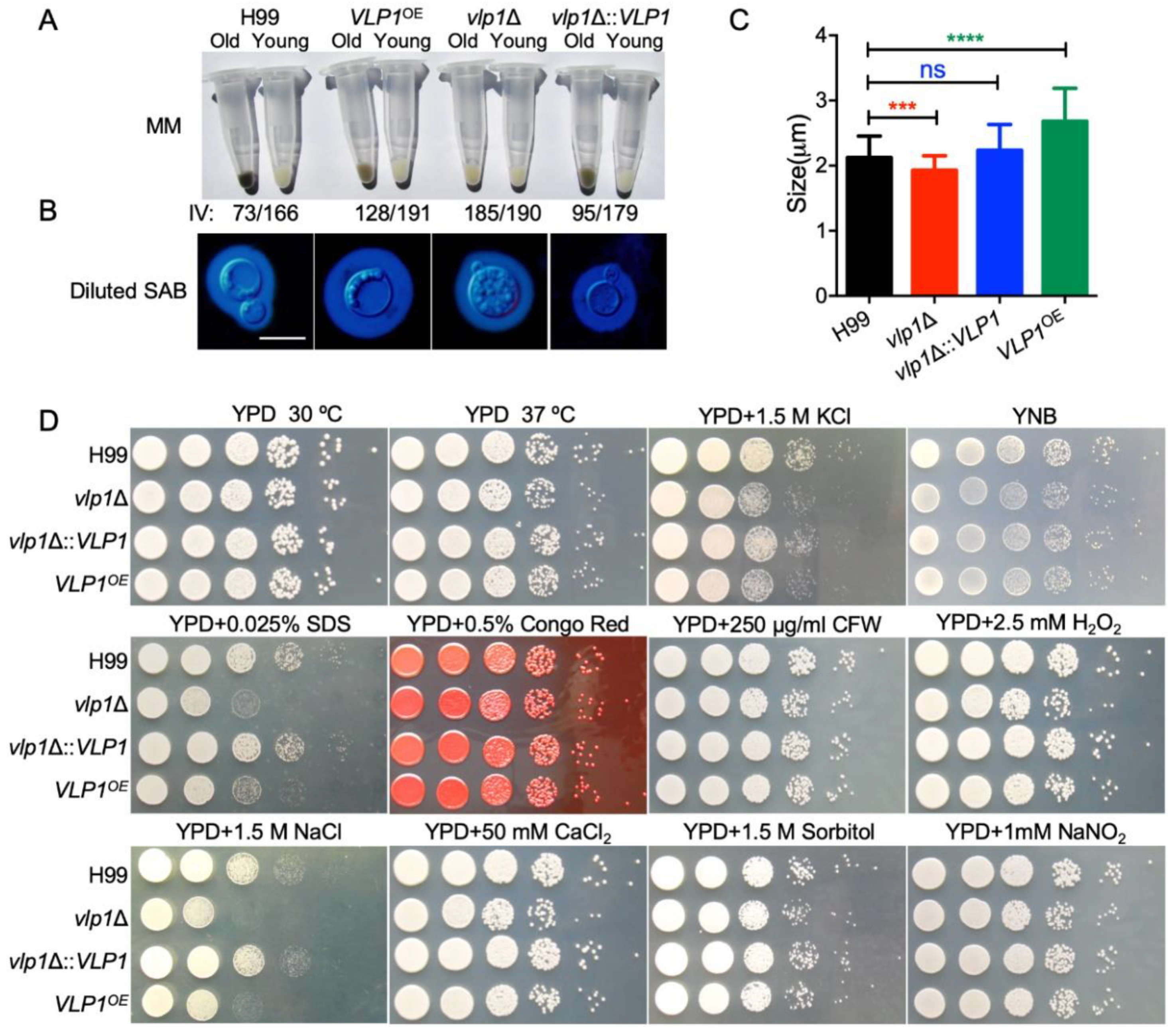 Jof 07 00418 g002 Jof 07 00418 g002