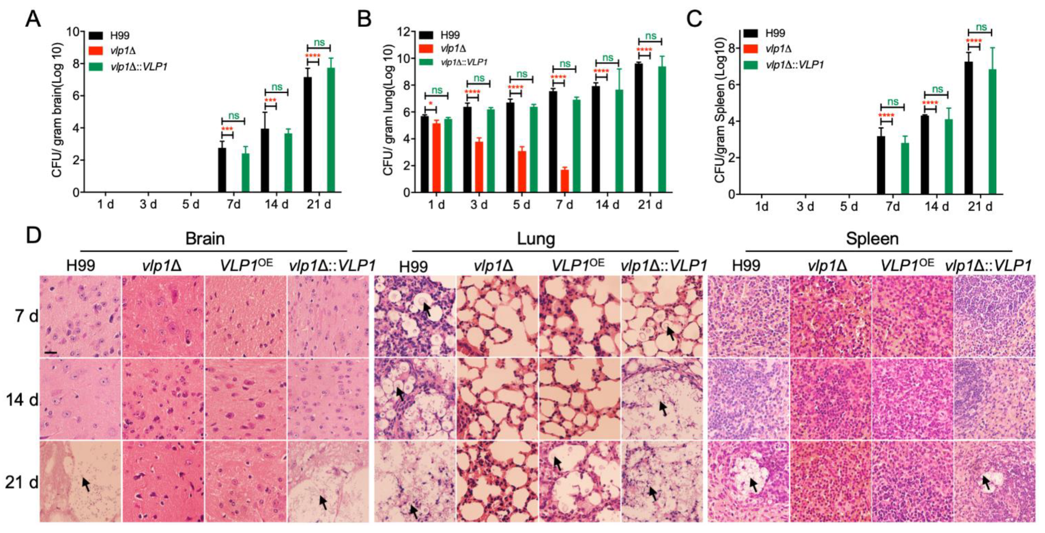 Jof 07 00418 g004 Jof 07 00418 g004