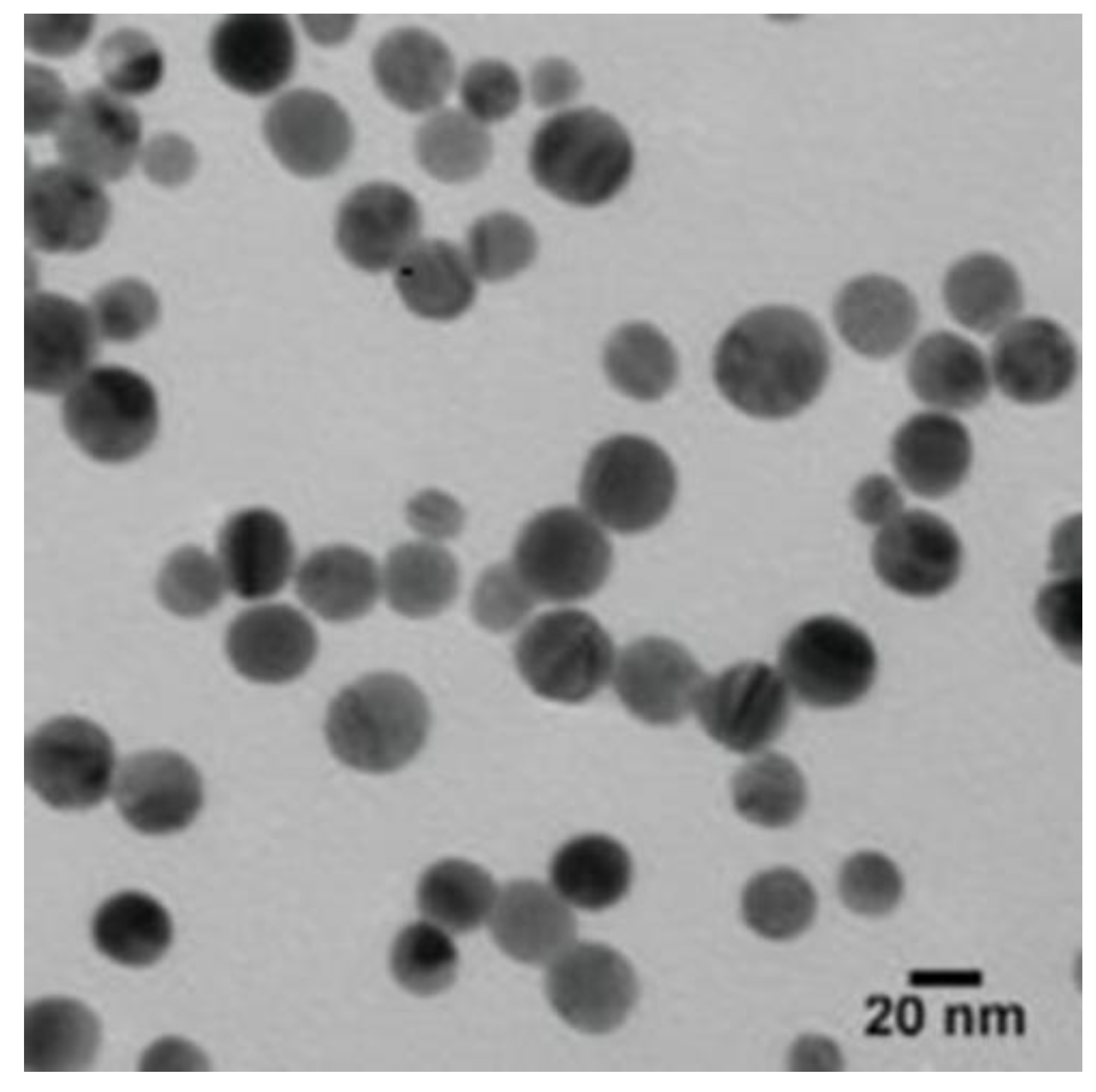 Jof 07 00473 g002 Jof 07 00473 g002