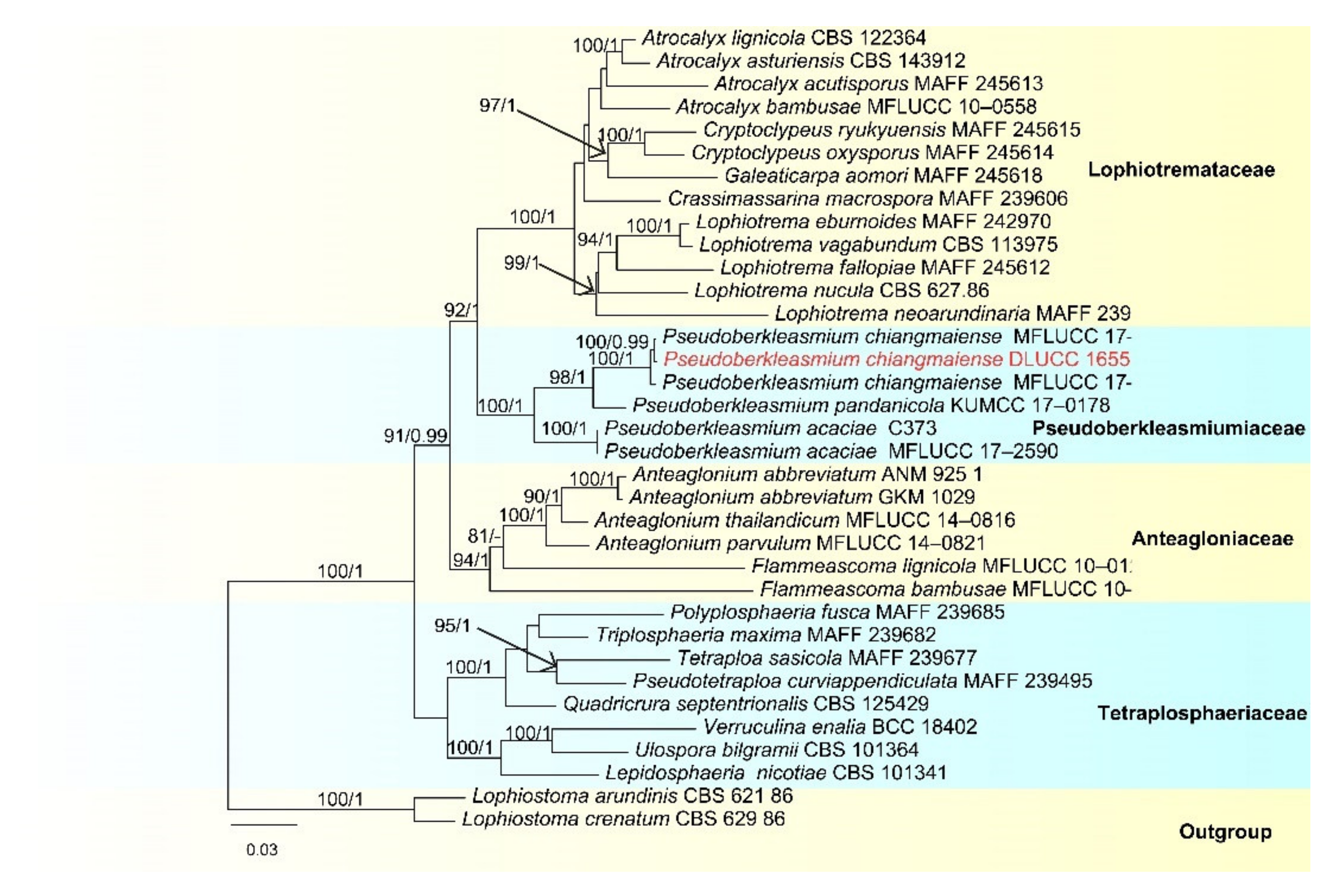Jof 07 00669 g002 Jof 07 00669 g002