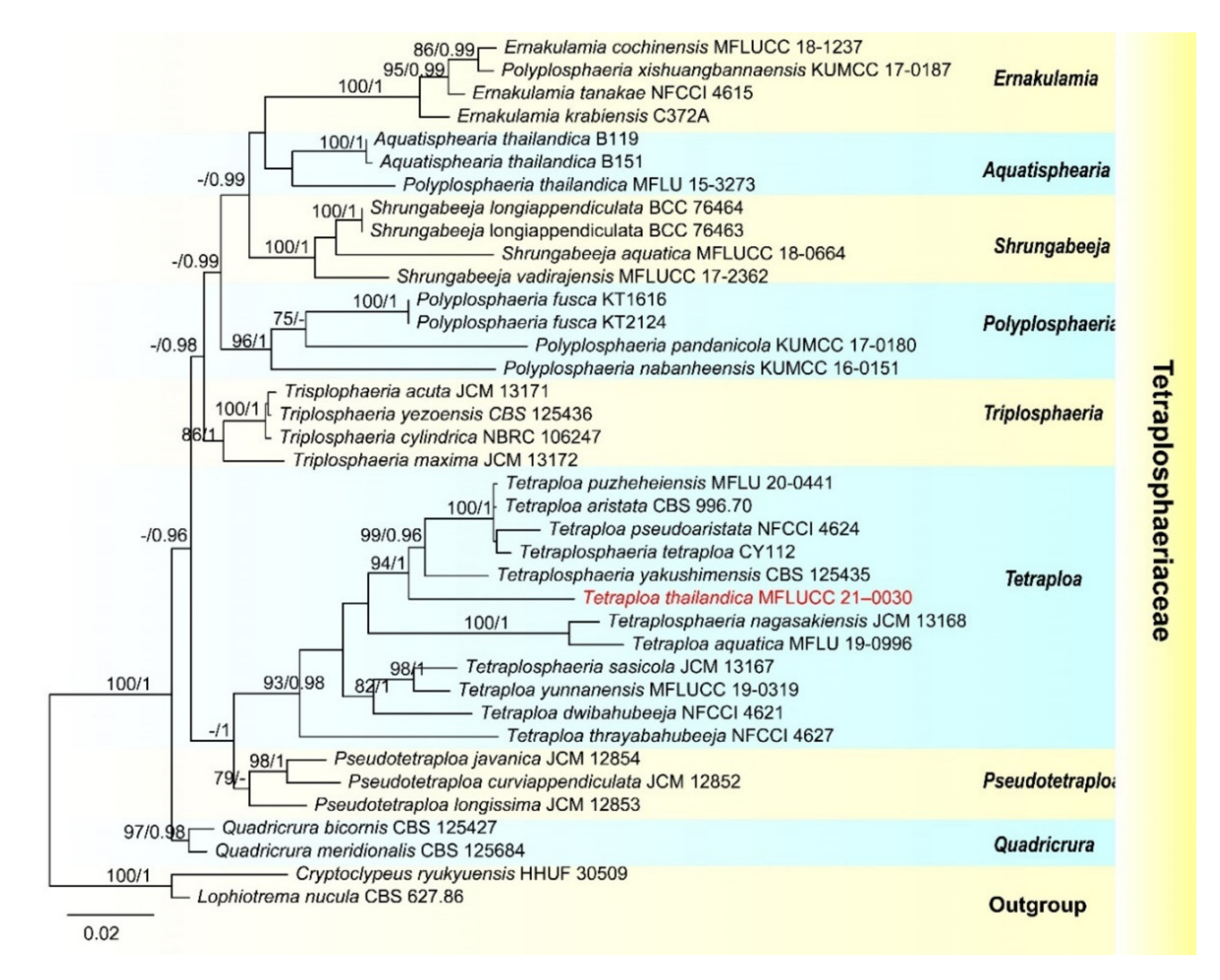 Jof 07 00669 g004 Jof 07 00669 g004
