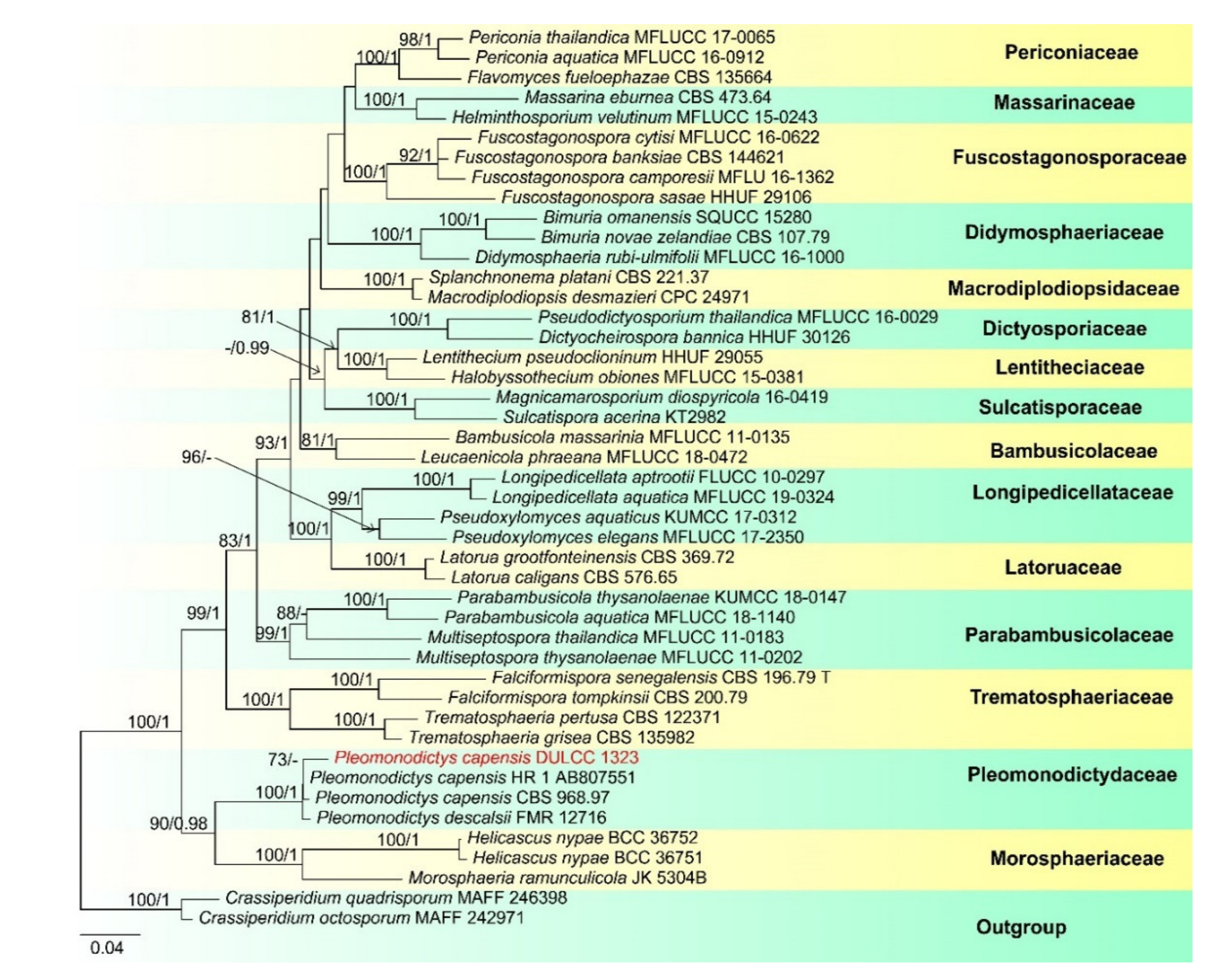 Jof 07 00669 g006 Jof 07 00669 g006