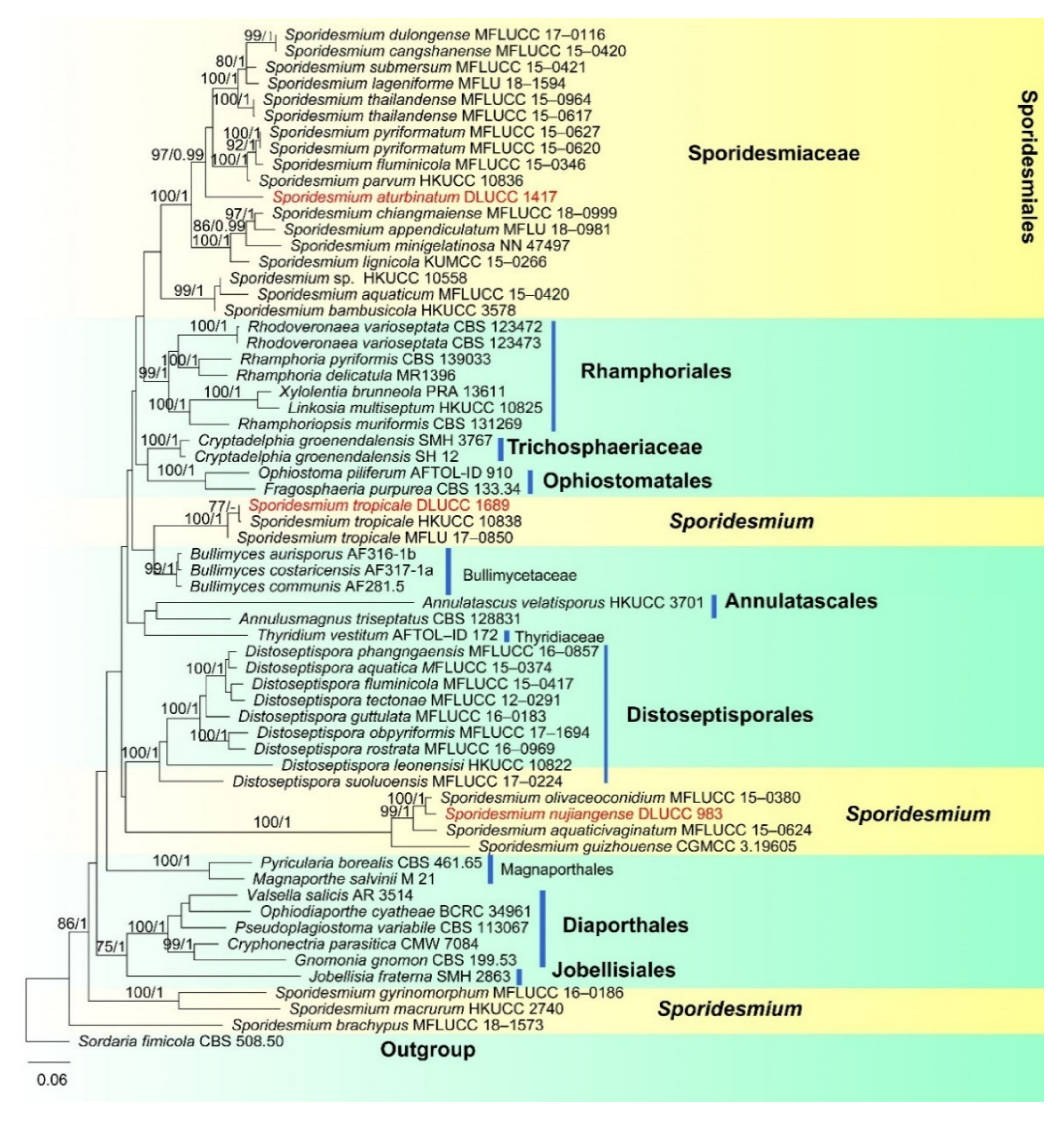Jof 07 00669 g010 Jof 07 00669 g010