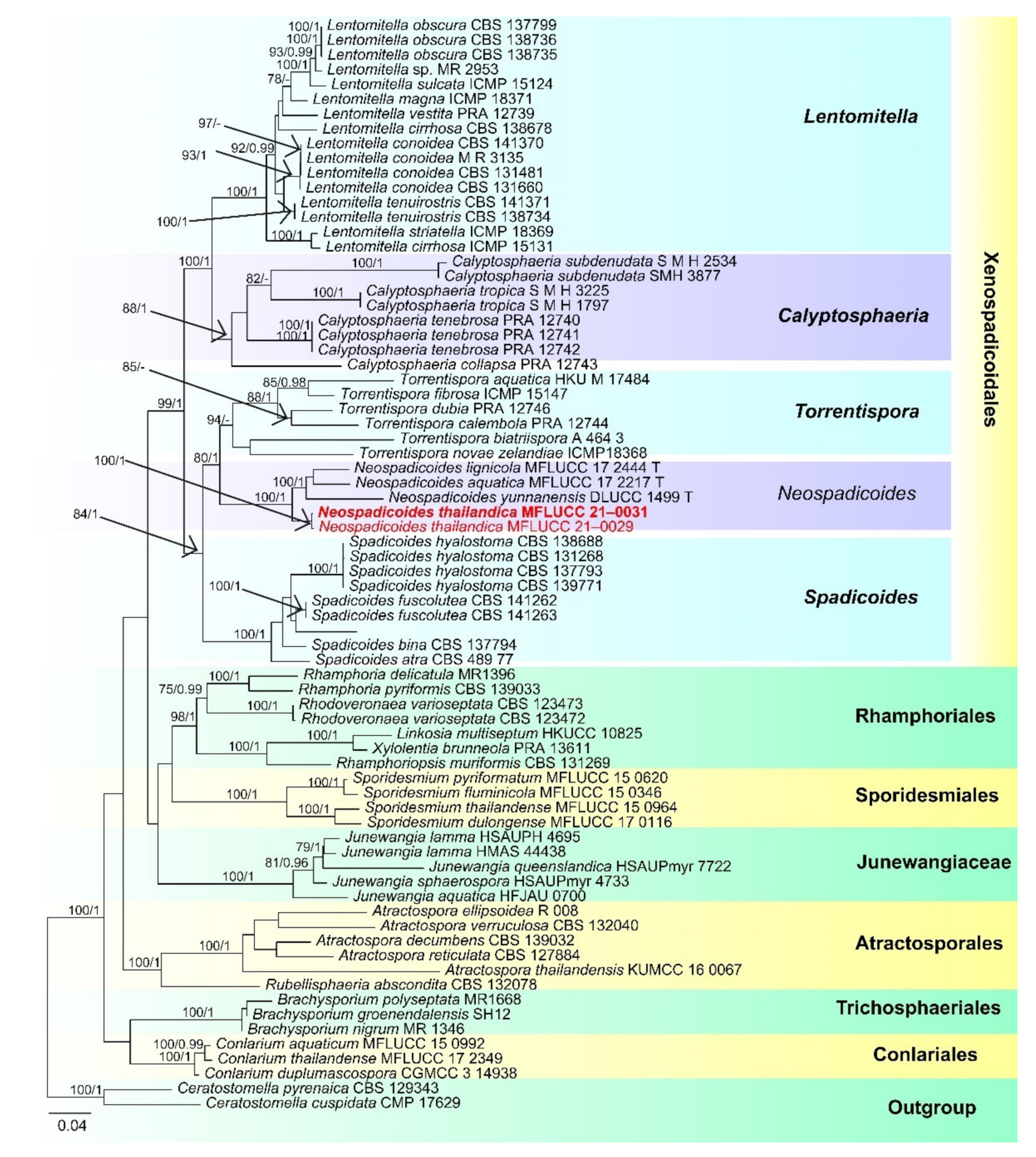 Jof 07 00669 g016 Jof 07 00669 g016